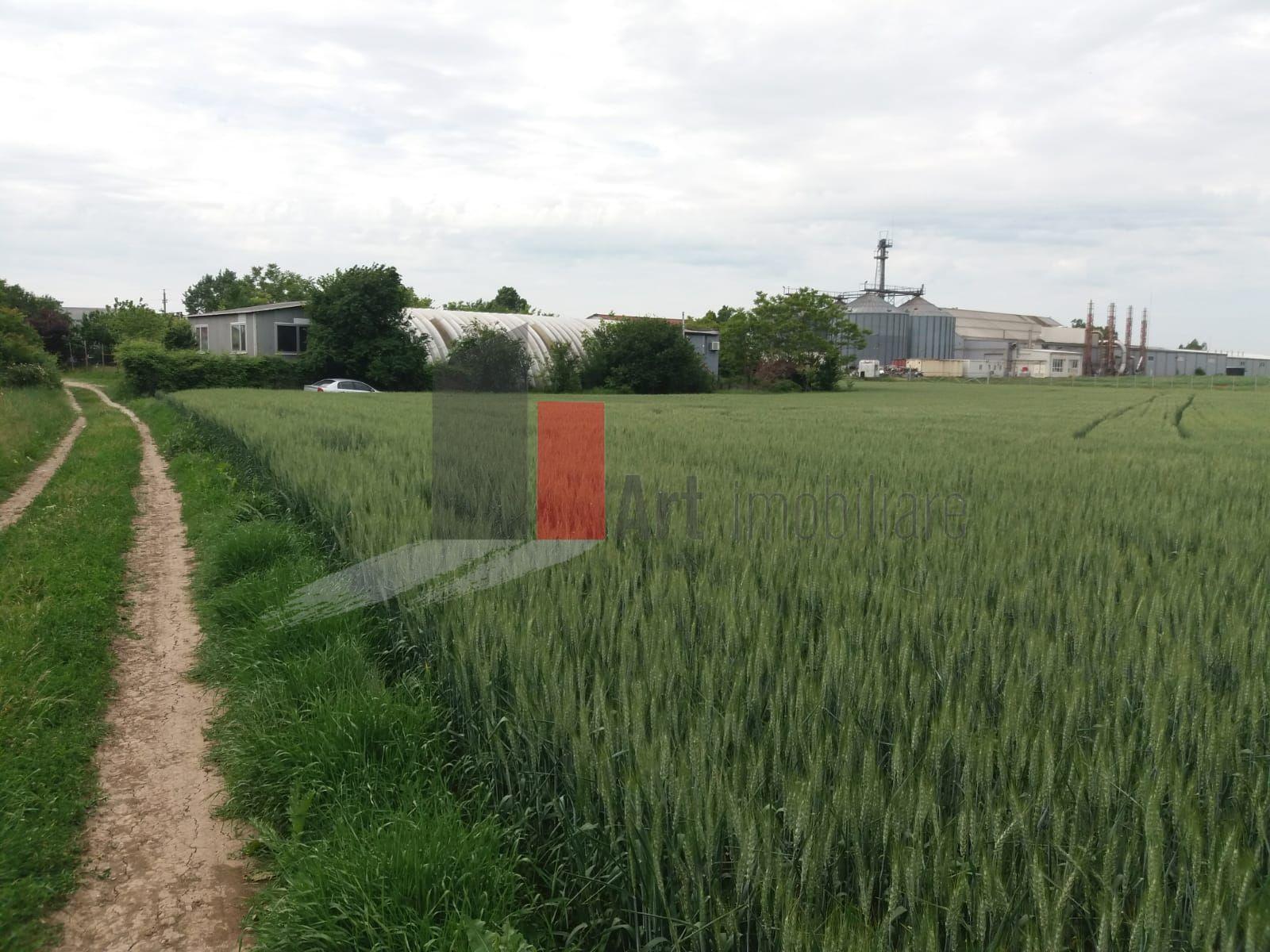 Teren Buftea cu iesire la lac - 4