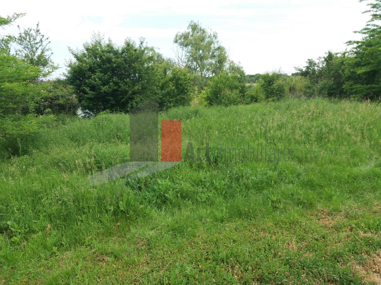 Teren Buftea cu iesire la lac - 6