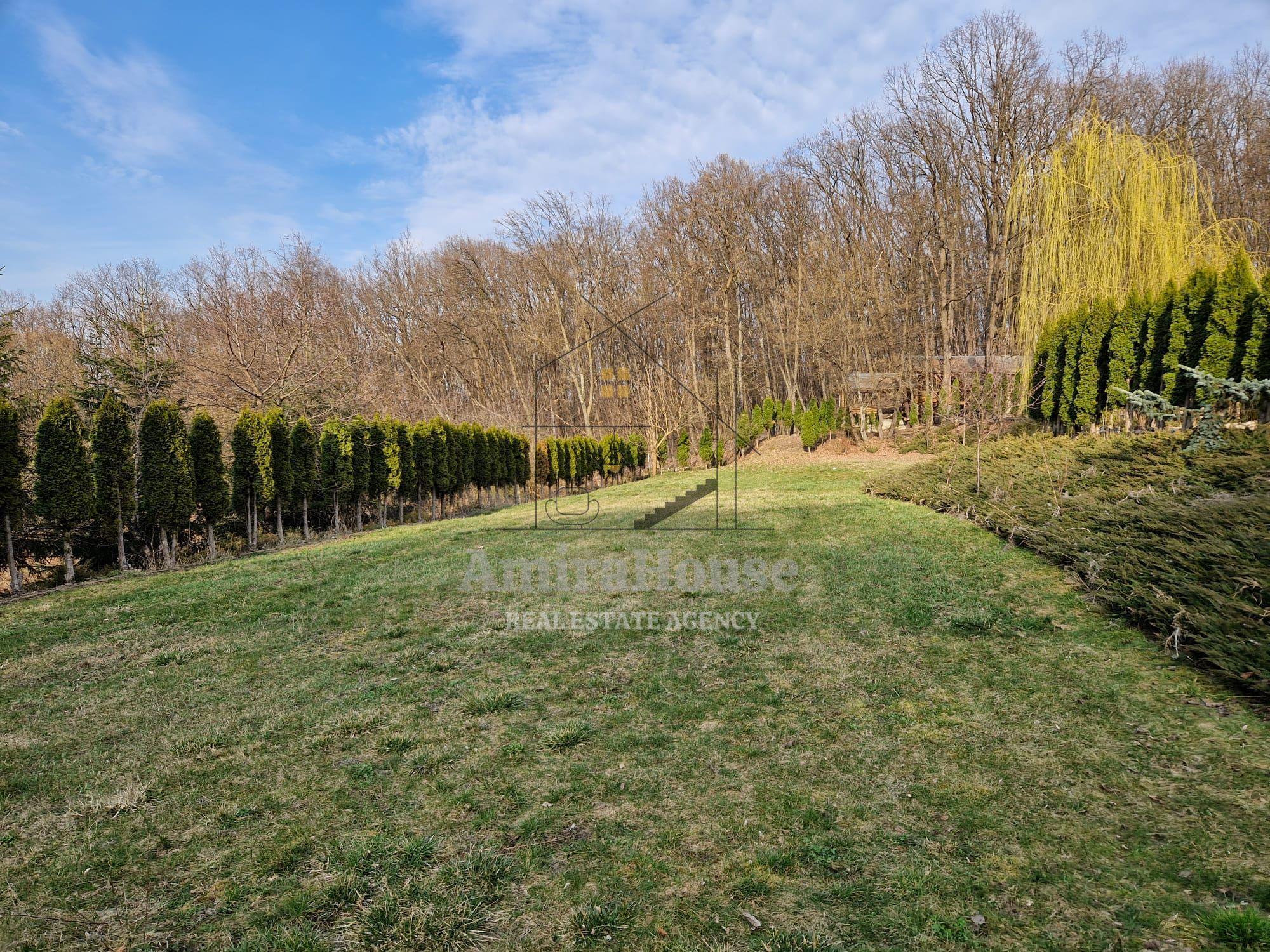 Casa din lemn D+P+M de 400 mp utili si teren 3.000 mp zona Faget - 6