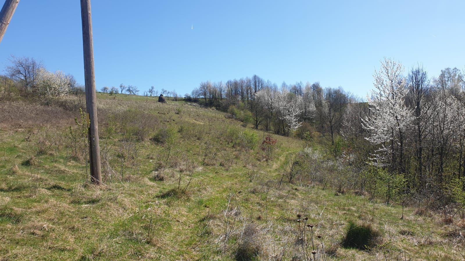 Teren cu panoramă fabuloasă, 10.059 mp, Roșia. 19.000 EUR. Comision 0 - 5