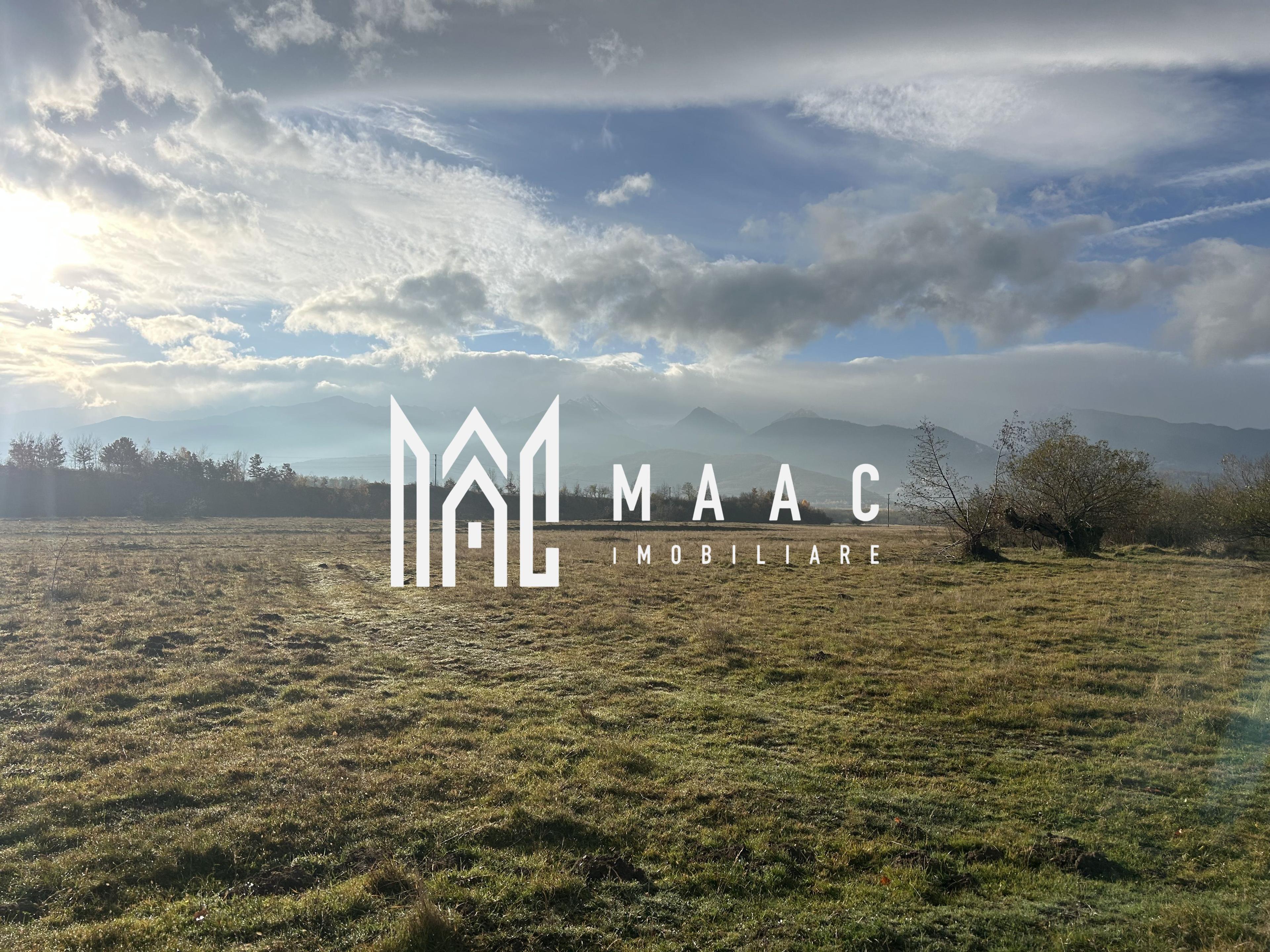 Teren cu potențial turistic I Cârțișoara I 3000 MP - 3