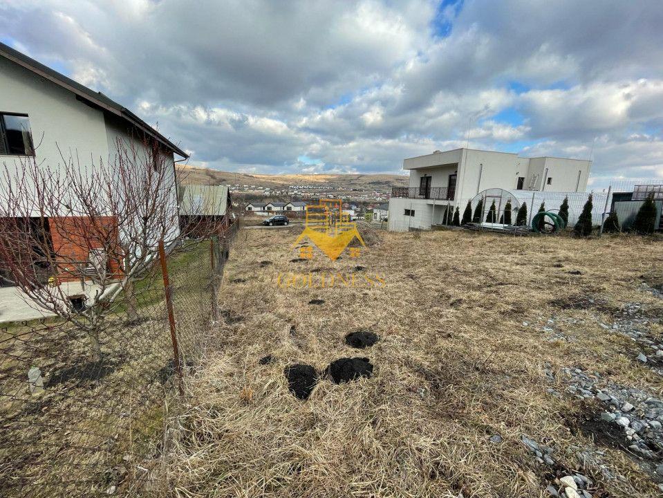 Teren, Intravilan, 487mp Chinteni, Certificat de Urbanism - 3