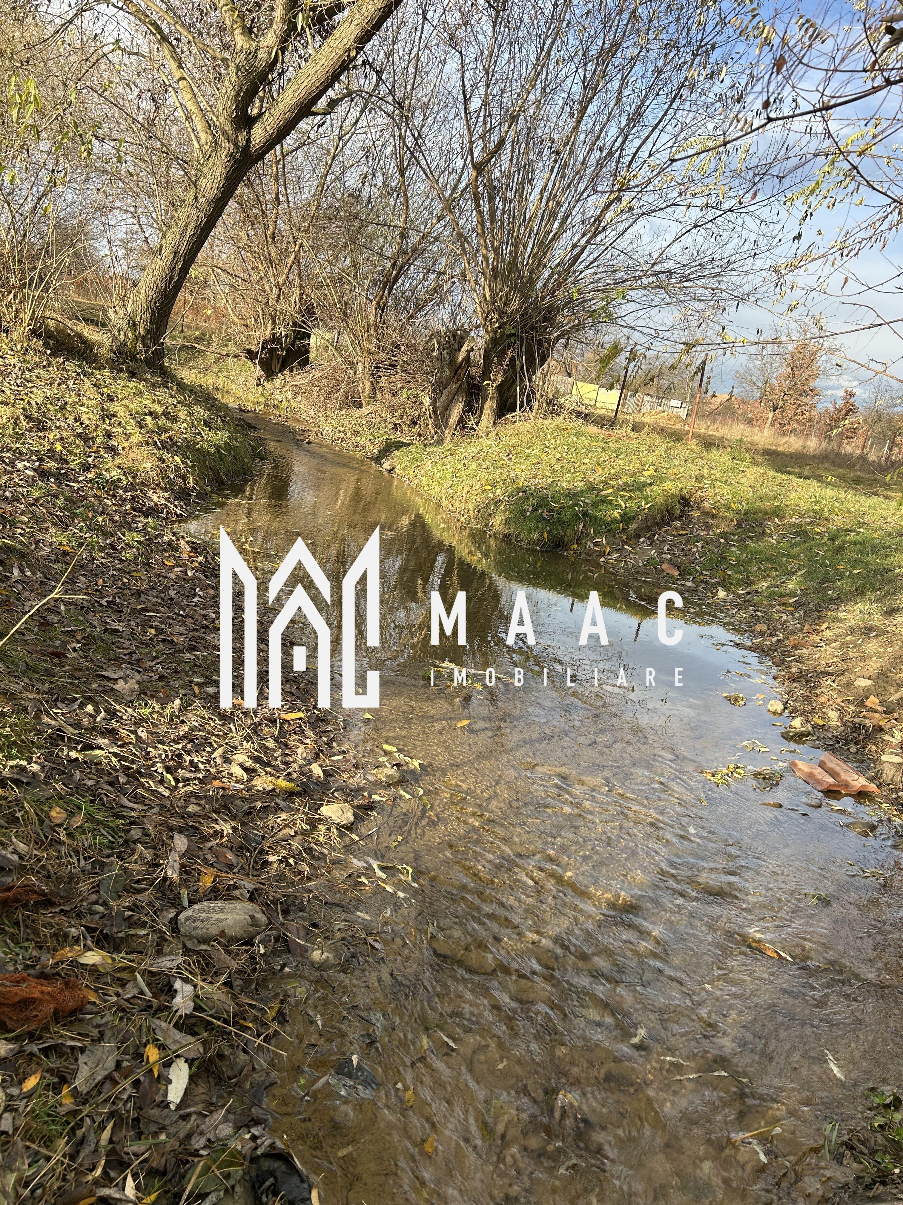 Teren cu potențial turistic I Cârțișoara I 1800 MP - 4