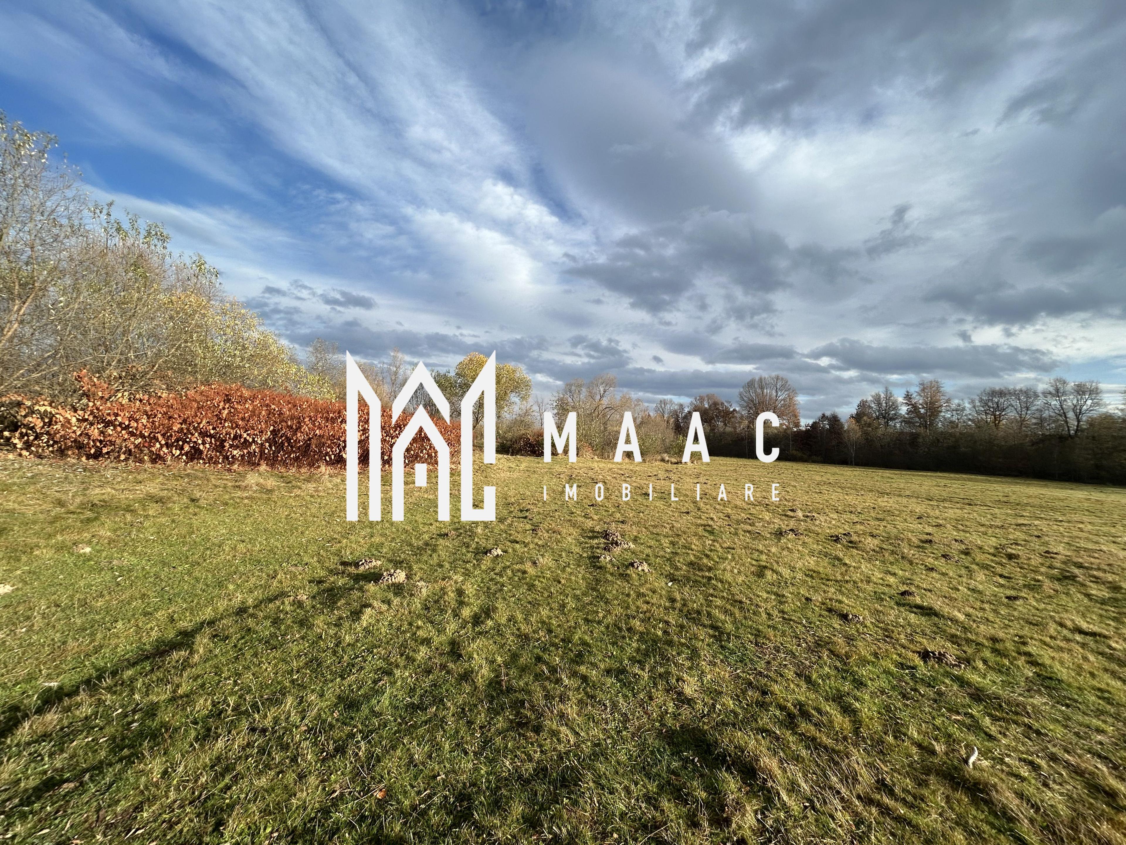 Teren cu potențial turistic I Cârțișoara I 1800 MP - 3