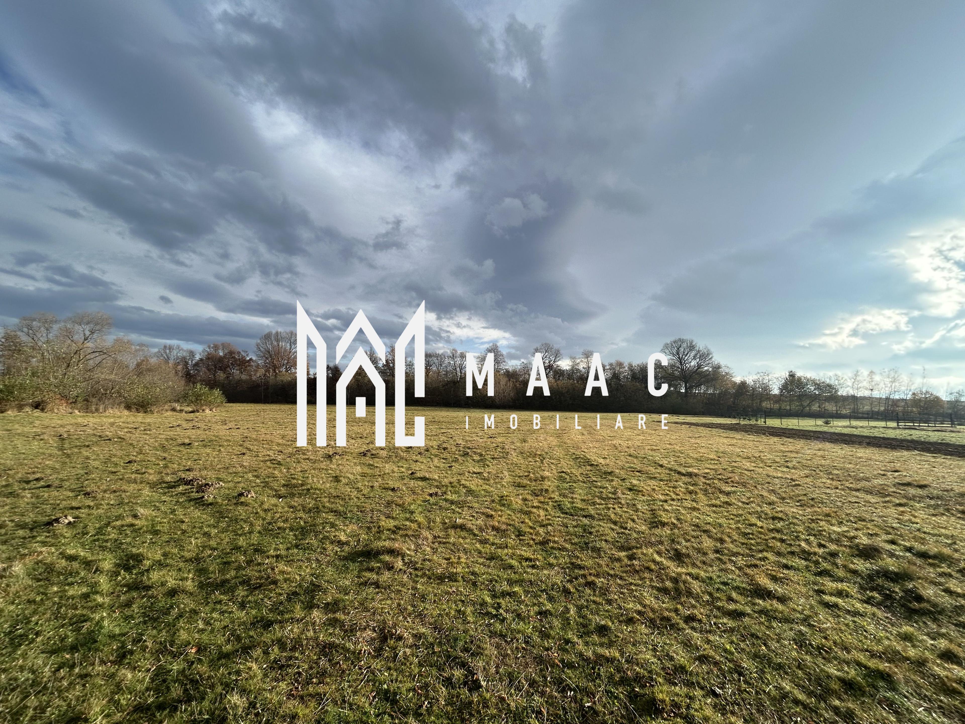 Teren cu potențial turistic I Cârțișoara I 1800 MP - 1