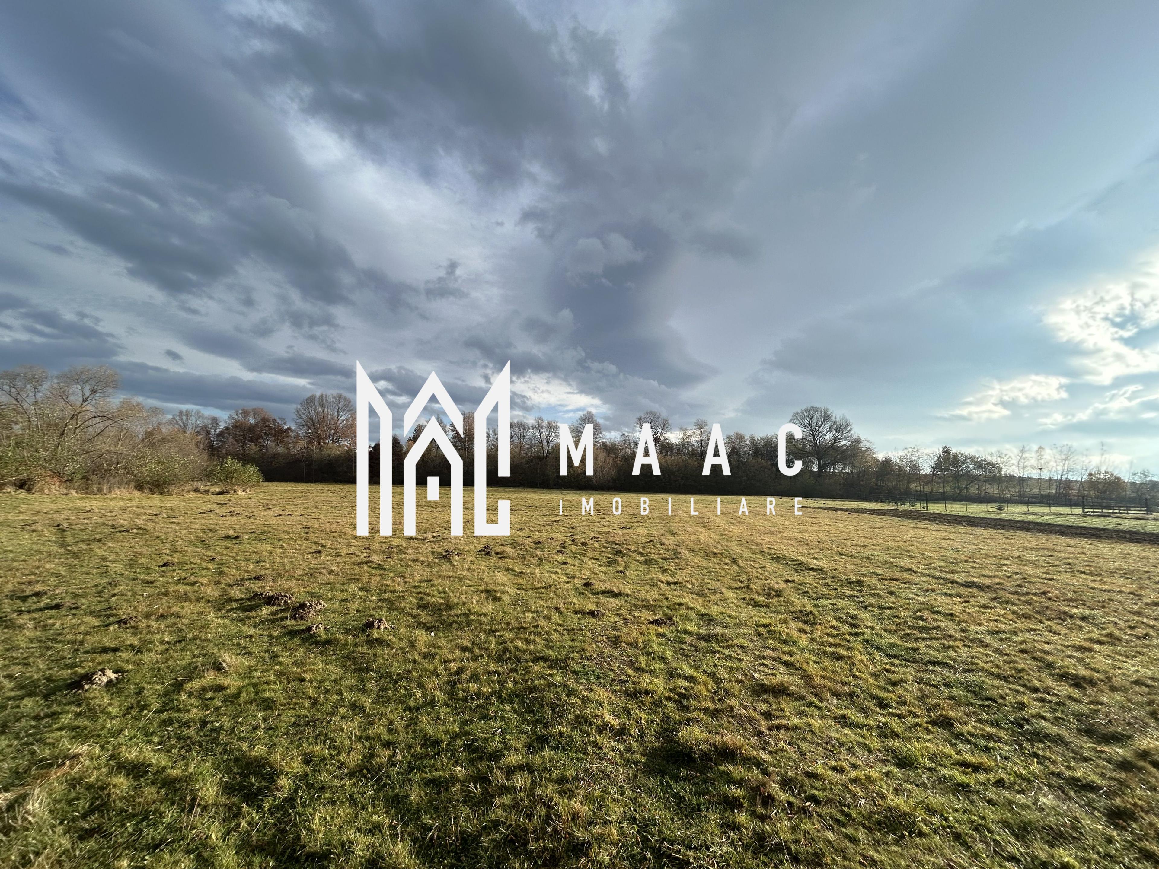 Teren cu potențial turistic I Cârțișoara I 1800 MP - 2