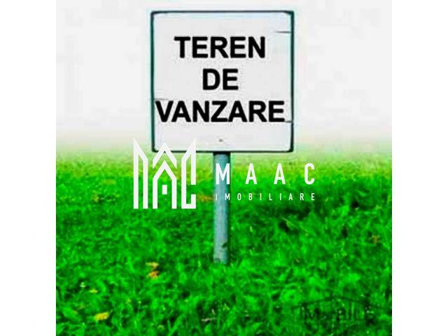 Teren Intravilan | 6000 mp | Turnisor - 1