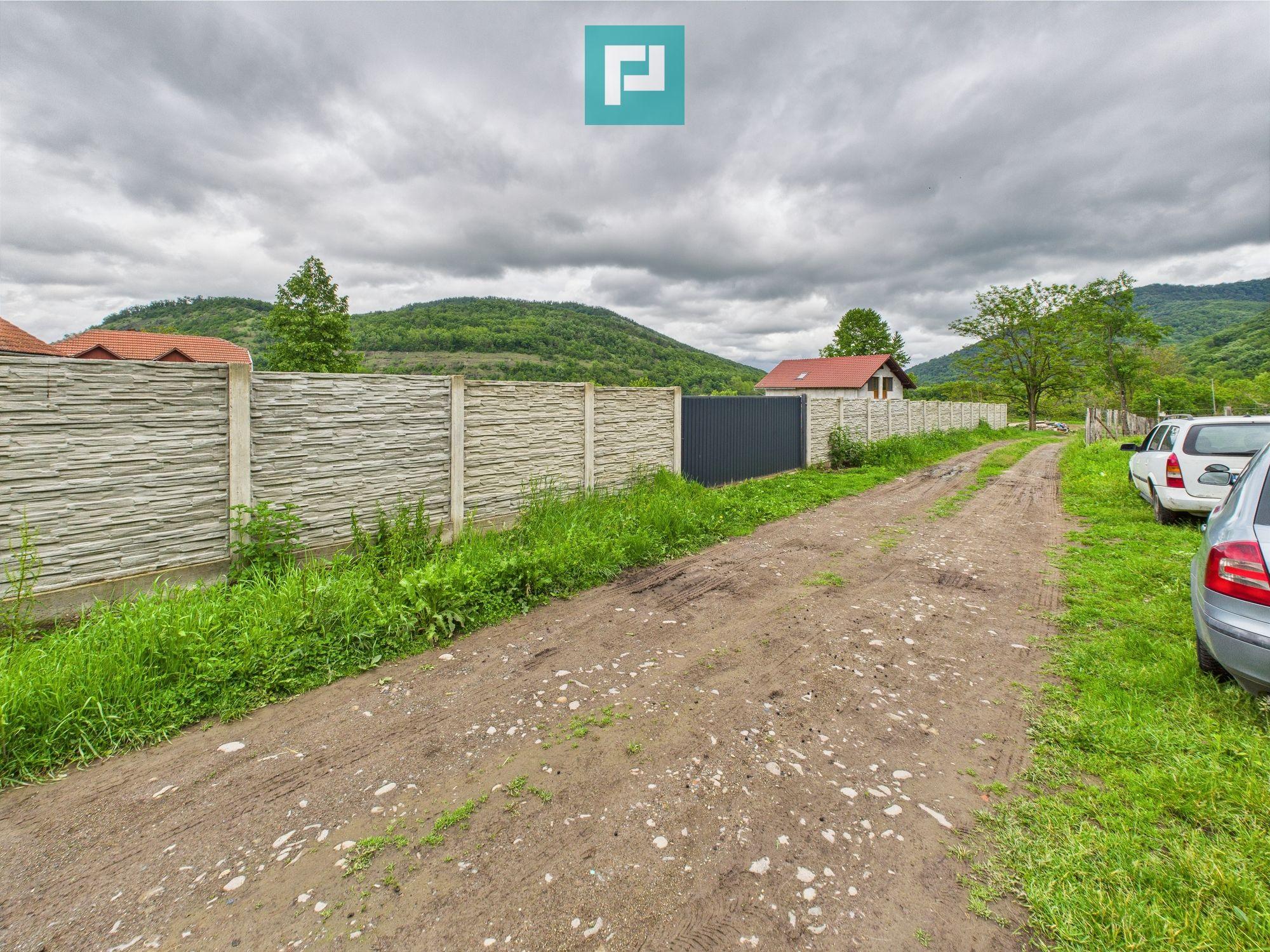 Casă în localitatea Gurahonț - Arad, teren 2914 mp - 18