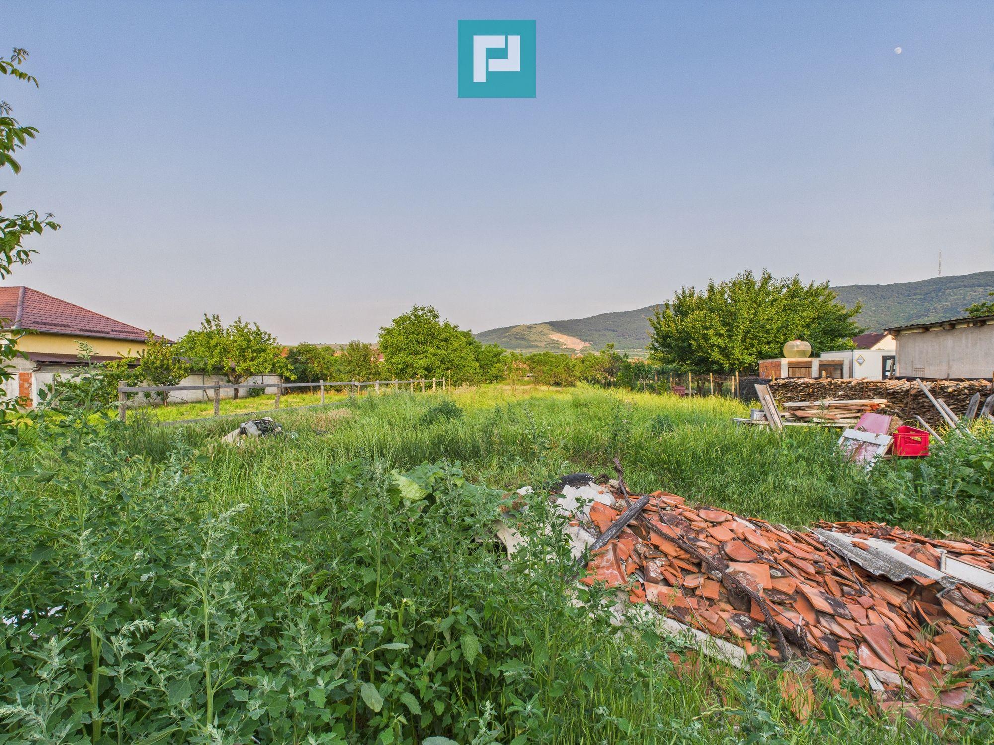 Casă cu 3 camere în Galșa, Arad, teren 1197 mp - 13
