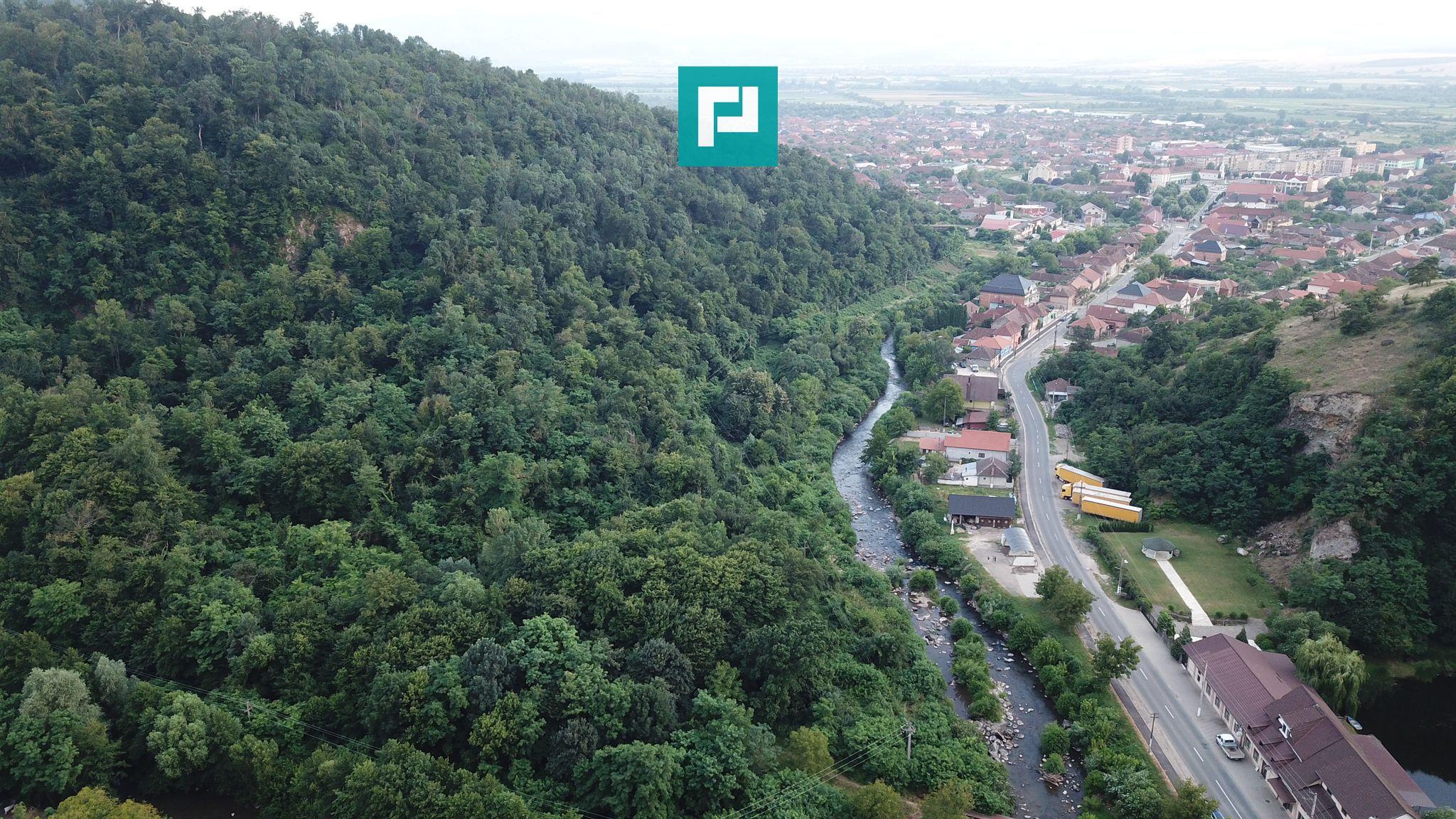 Teren Intravilan, în orașul Sebiș, Arad - 6