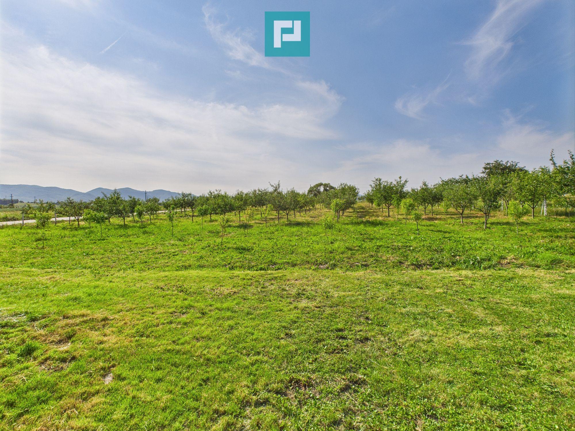 Casă cu teren de 4707 mp în Hălmăgel, județul Arad - 20