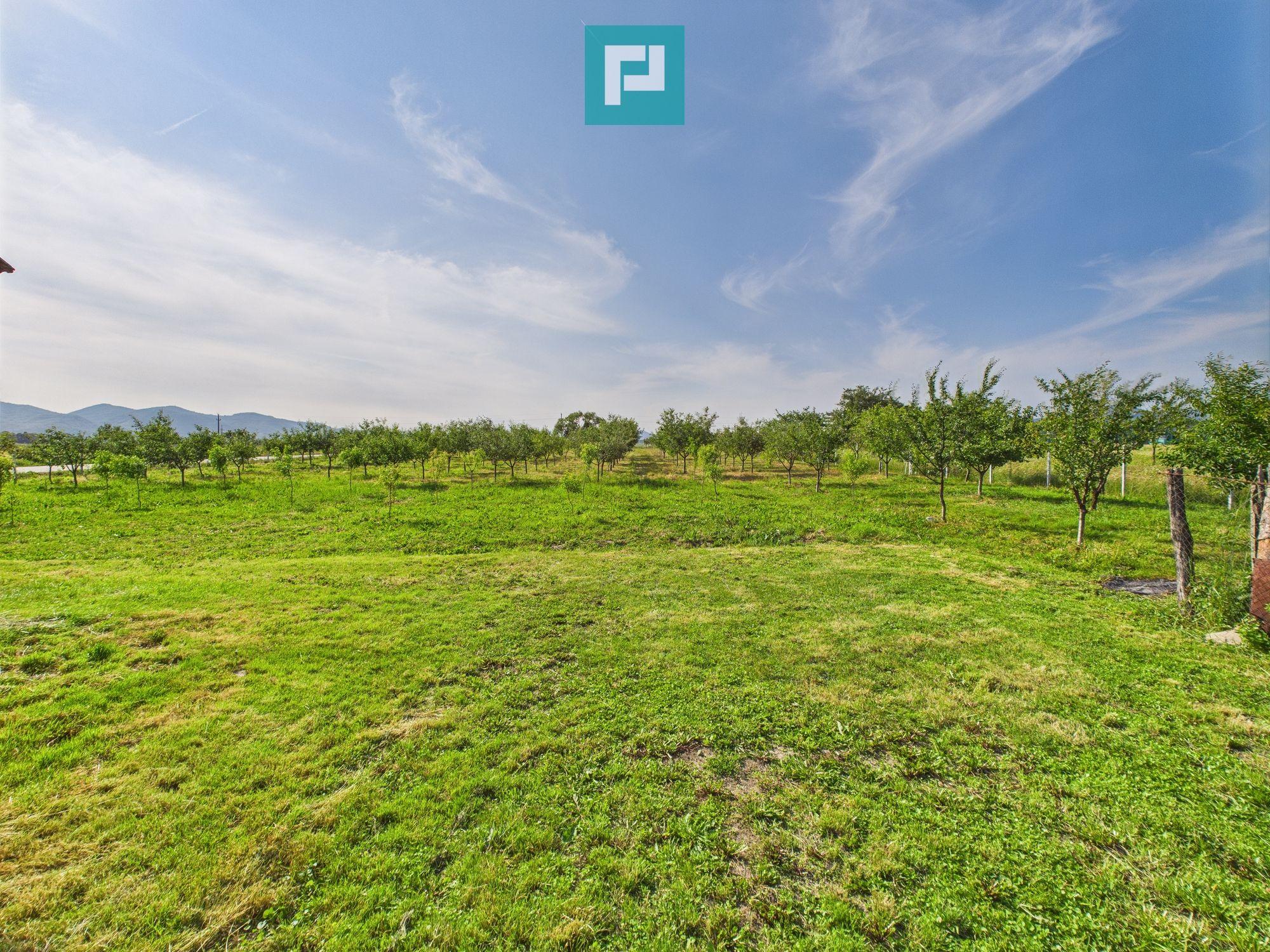 Casă cu teren de 4707 mp în Hălmăgel, județul Arad - 19