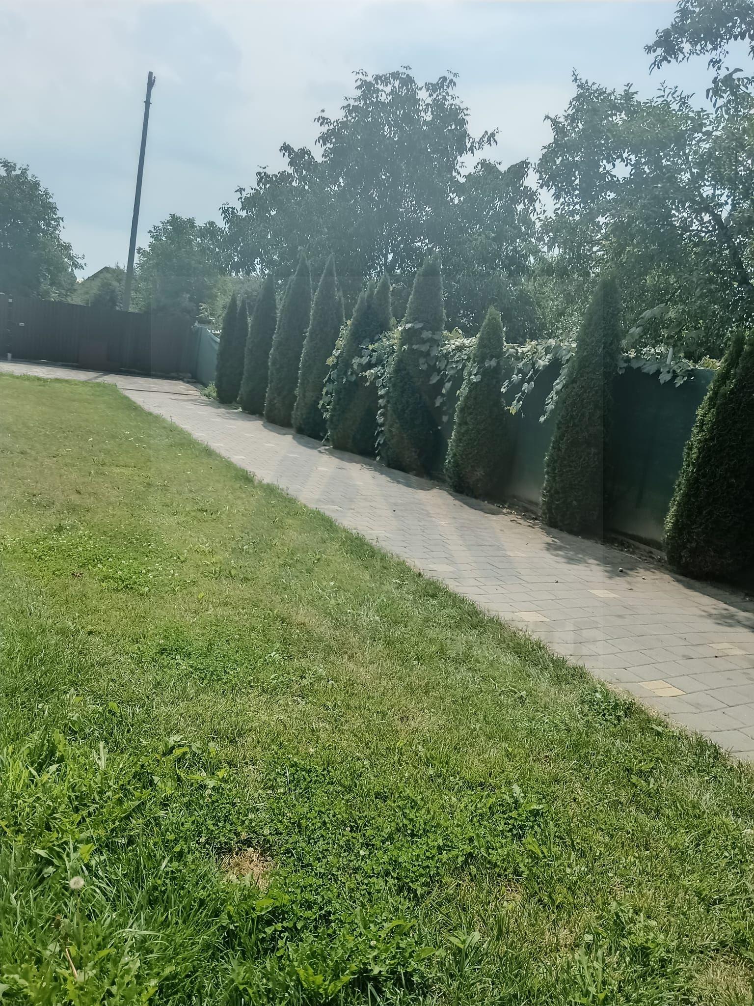Casa individuala cu 6 camere garaj 22 mp si 650 mp teren in Piata Cluj - 5