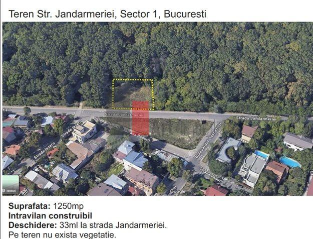 Teren padure Baneasa Jandarmeriei - 1