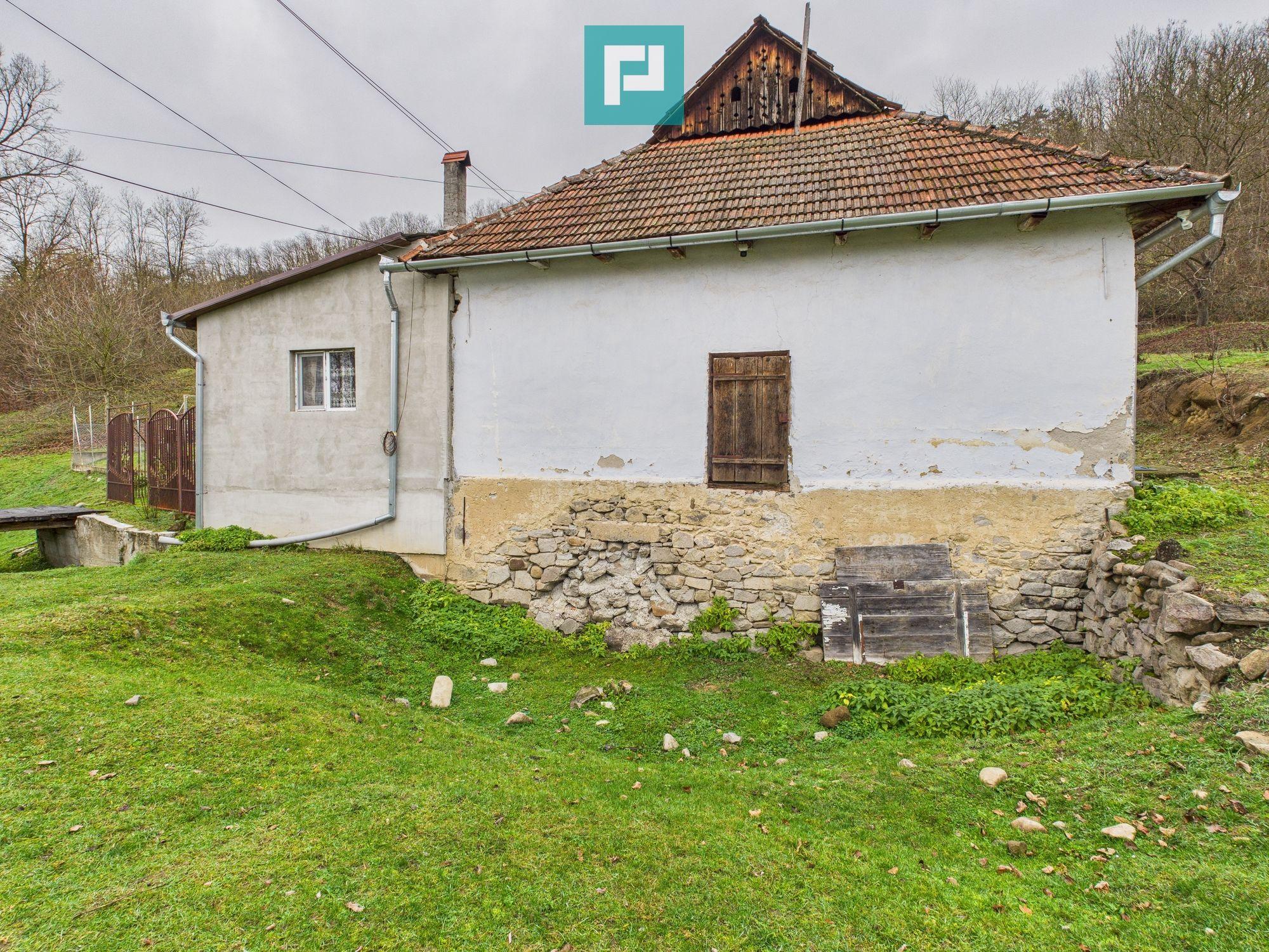 Casă cu teren de 24.679,73 mp, în Hălmagiu, Arad - 7