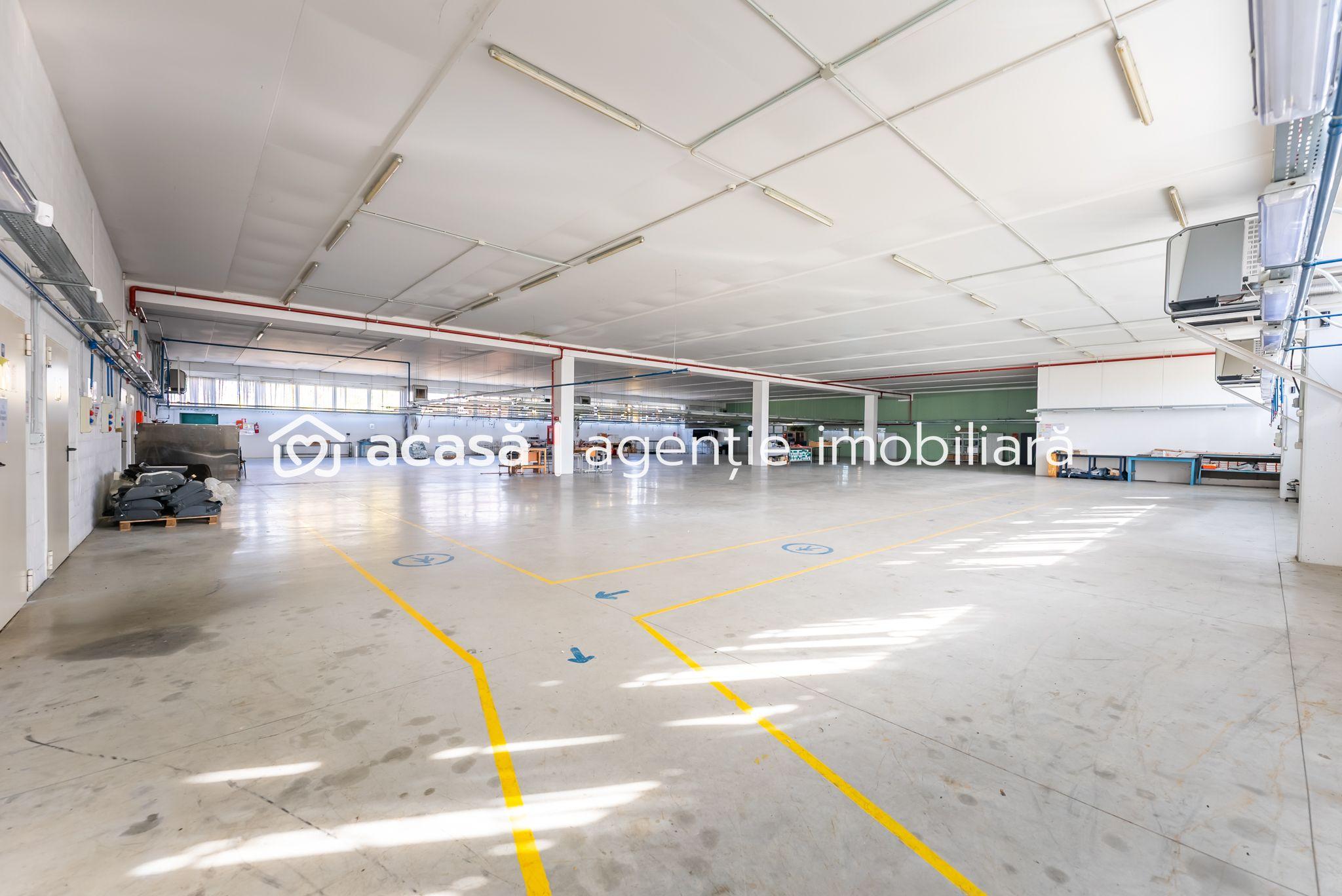 Hală producție în localitatea Sântana - 12