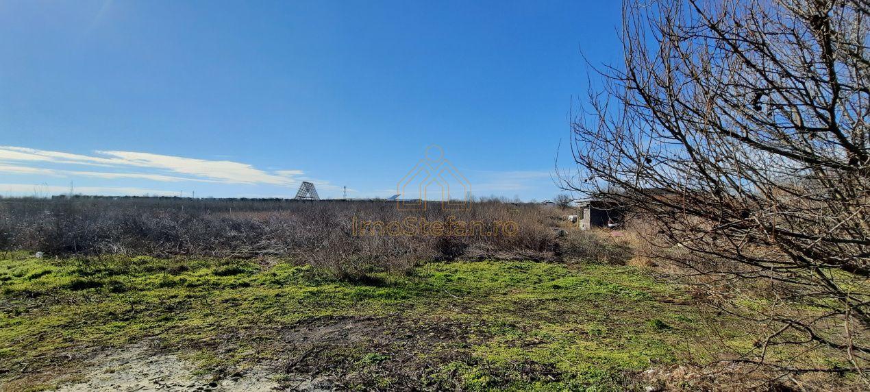 Teren Intravilan Vama Veche | 7.495 mp | Oportunitate Investiție - 9