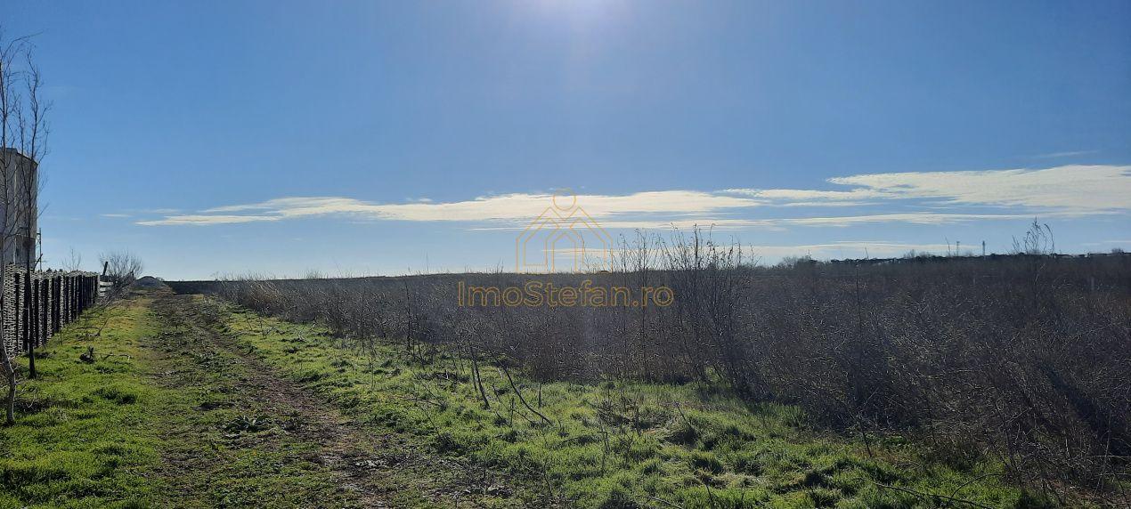 Teren Intravilan Vama Veche | 7.495 mp | Oportunitate Investiție - 7