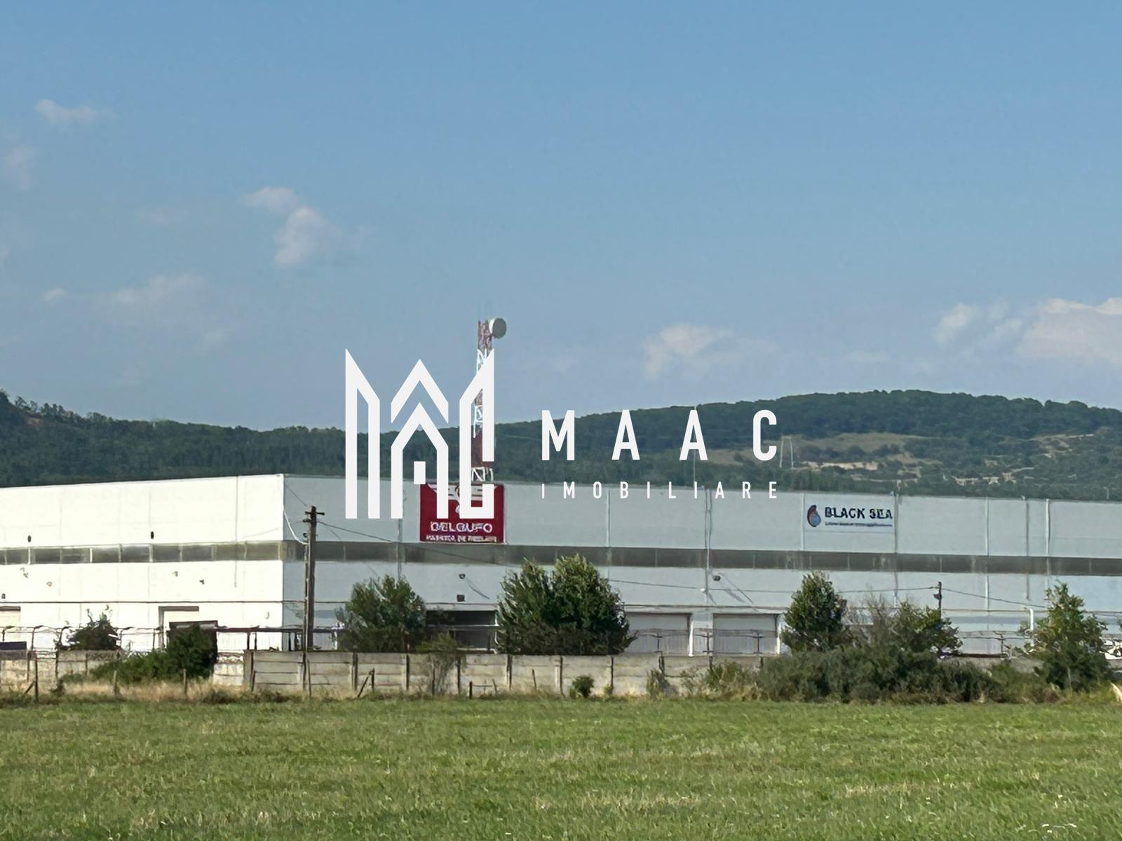 Teren 23.300 mp | 200 ml | Ideal dezvoltare rezidențială sau industrială - 4