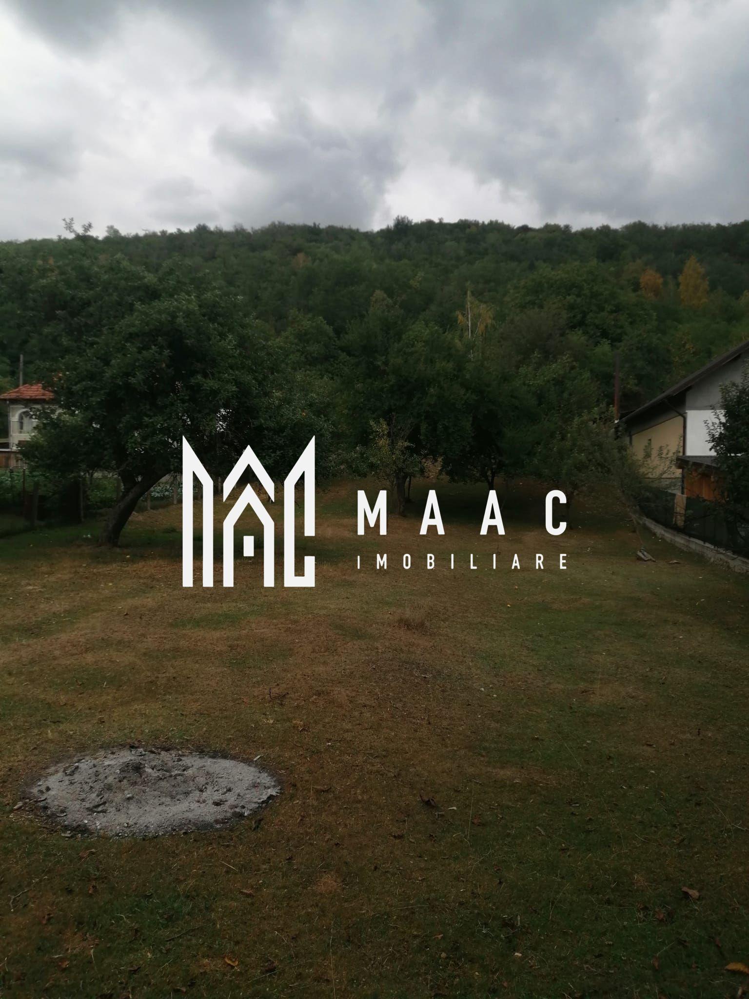 Teren Intravilan 10.000 mp | Livadă + Pădure de salcâm | Bărbătești - 2