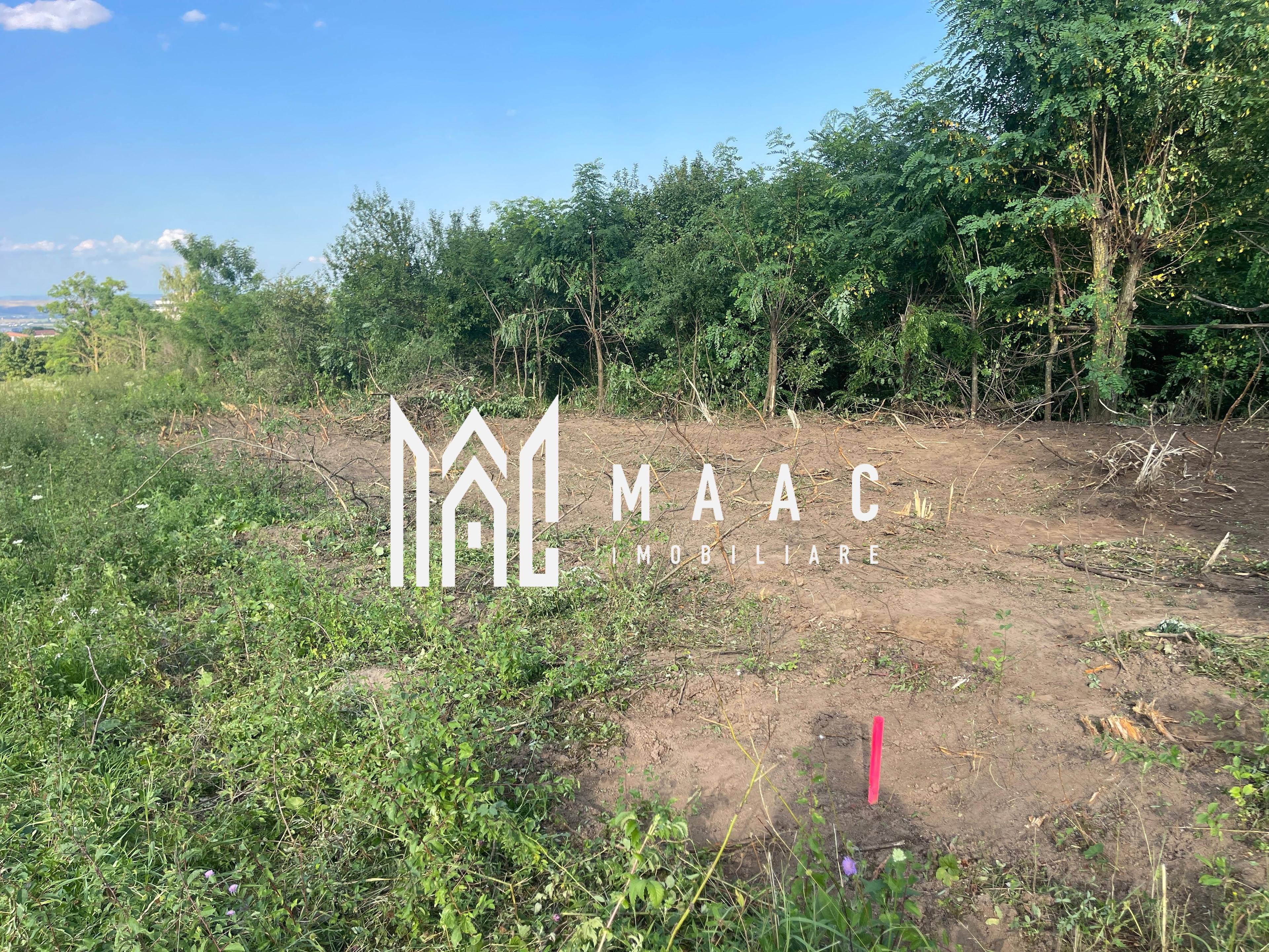 Oportunitate de Investiție Strategică | Teren Intravilan | Colonia Becas - 10