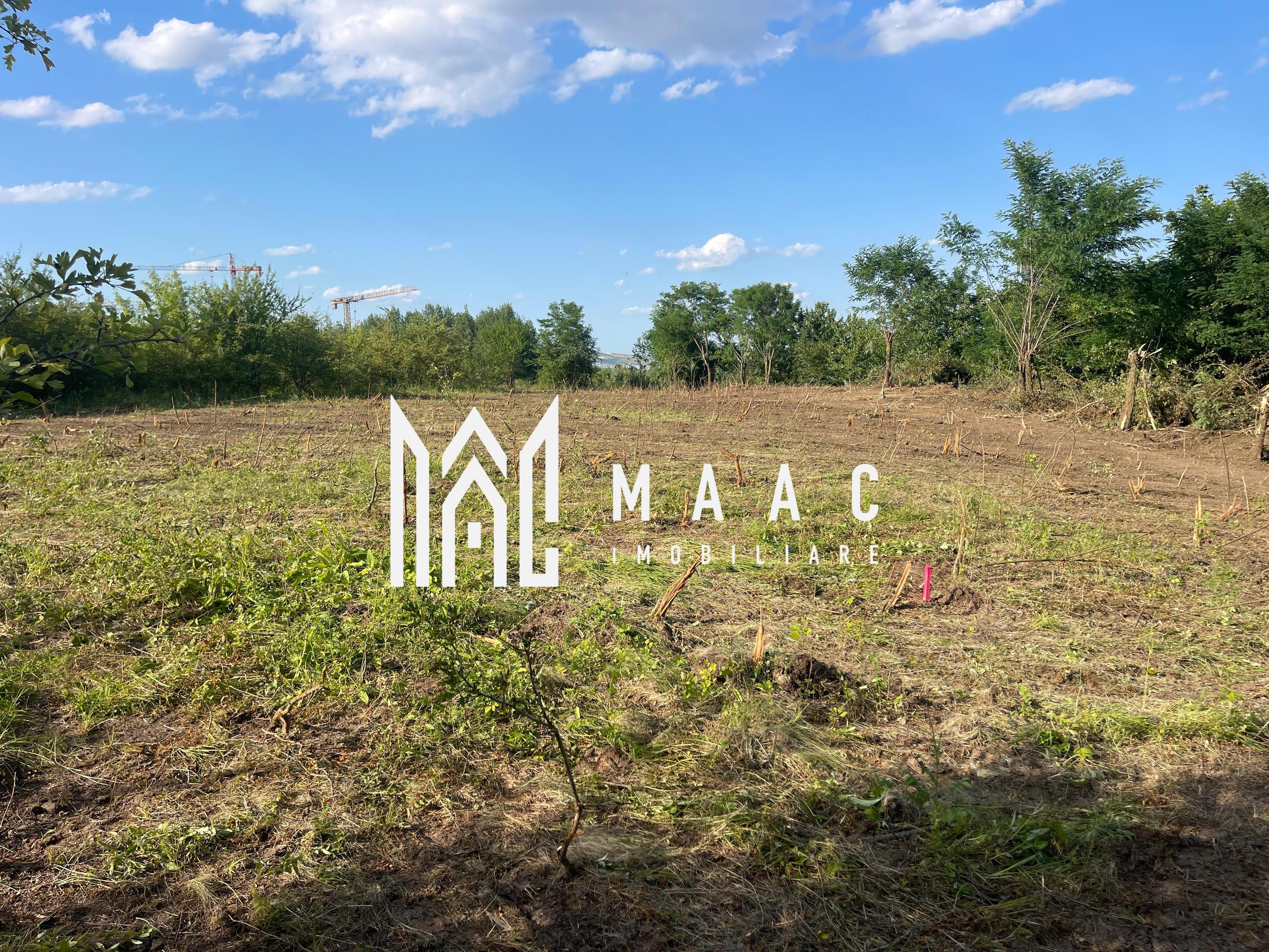 Oportunitate de Investiție Strategică | Teren Intravilan | Colonia Becas - 2