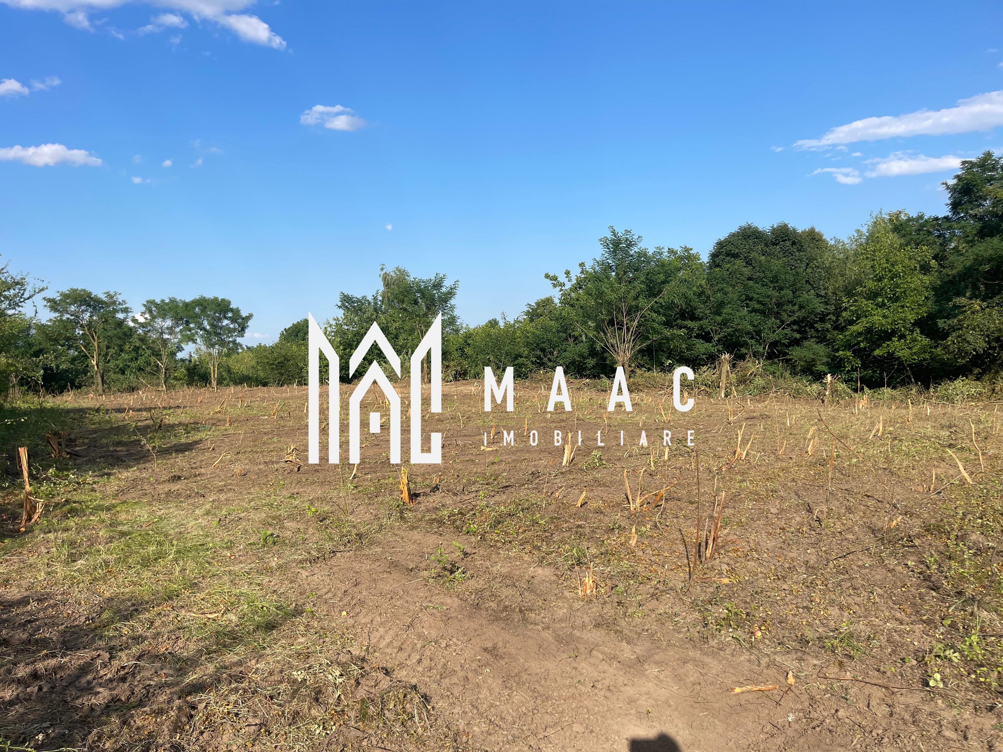 Oportunitate de Investiție Strategică | Teren Intravilan | Colonia Becas - 4