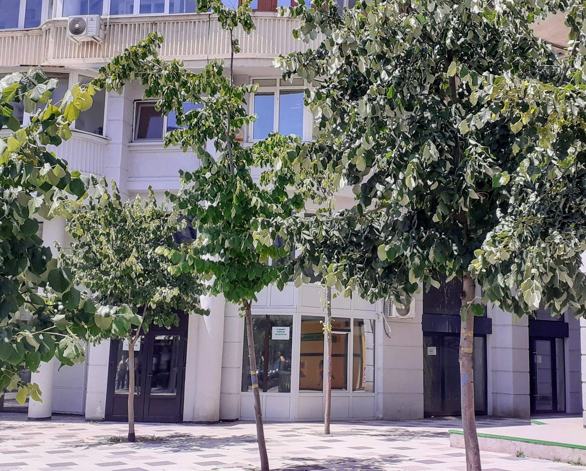 spatiu comercial 96 mp | Decebal | Rond Alba Iulia | Unirii - 8
