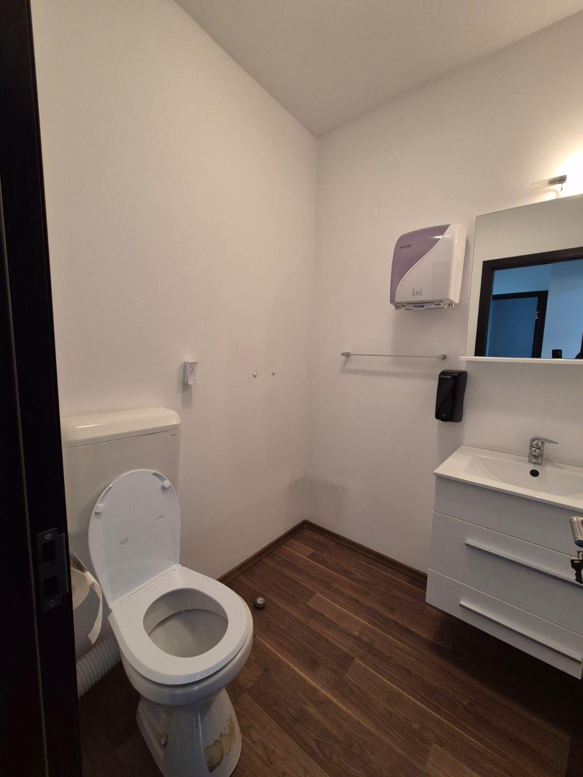 Birou | Office | Mihalache | 1 Mai | Grivitei | Nemobilat - 3