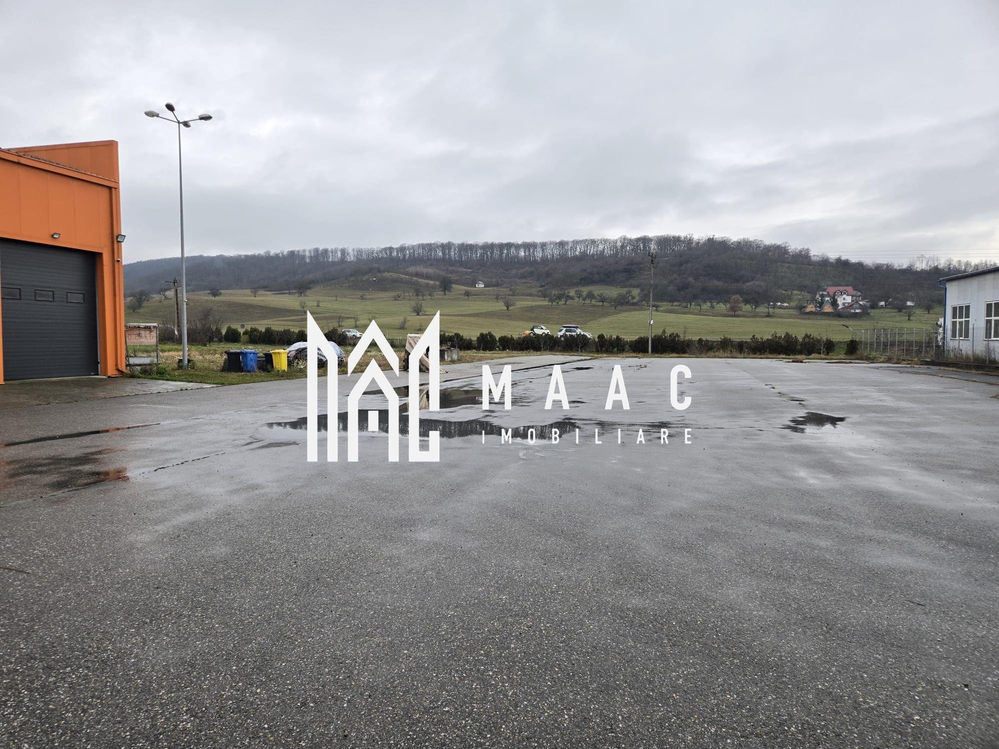 Hală cu Birouri și Teren 12.000 mp I De Vânzare I Bradu I Sibiu - 1