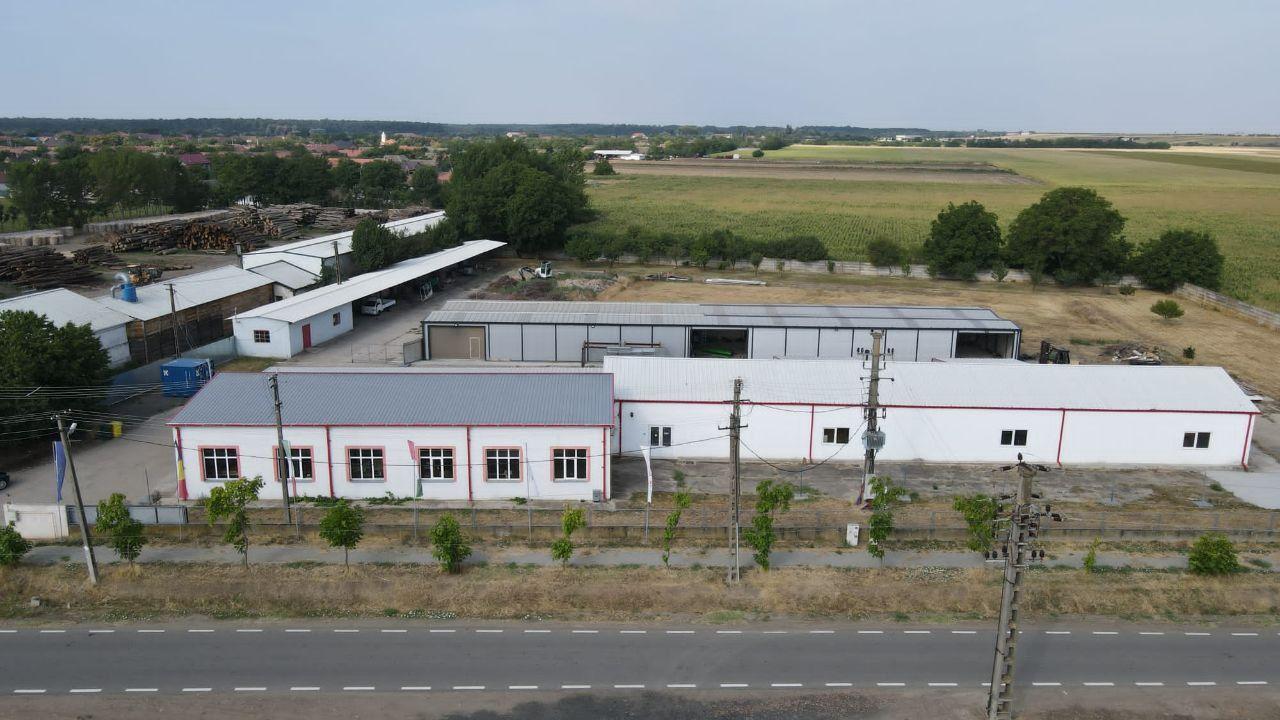 Hale depozitare/producție 2.000 mp si 10.000 mp teren în Pecica - 1