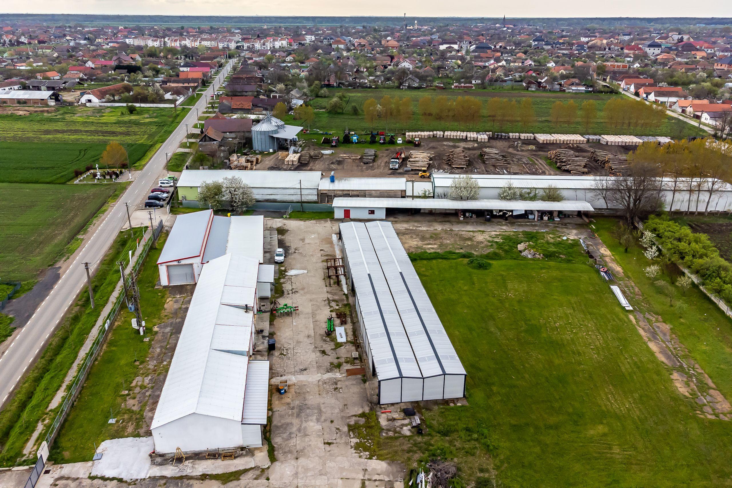 Hale depozitare/producție 2.000 mp si 10.000 mp teren în Pecica - 3