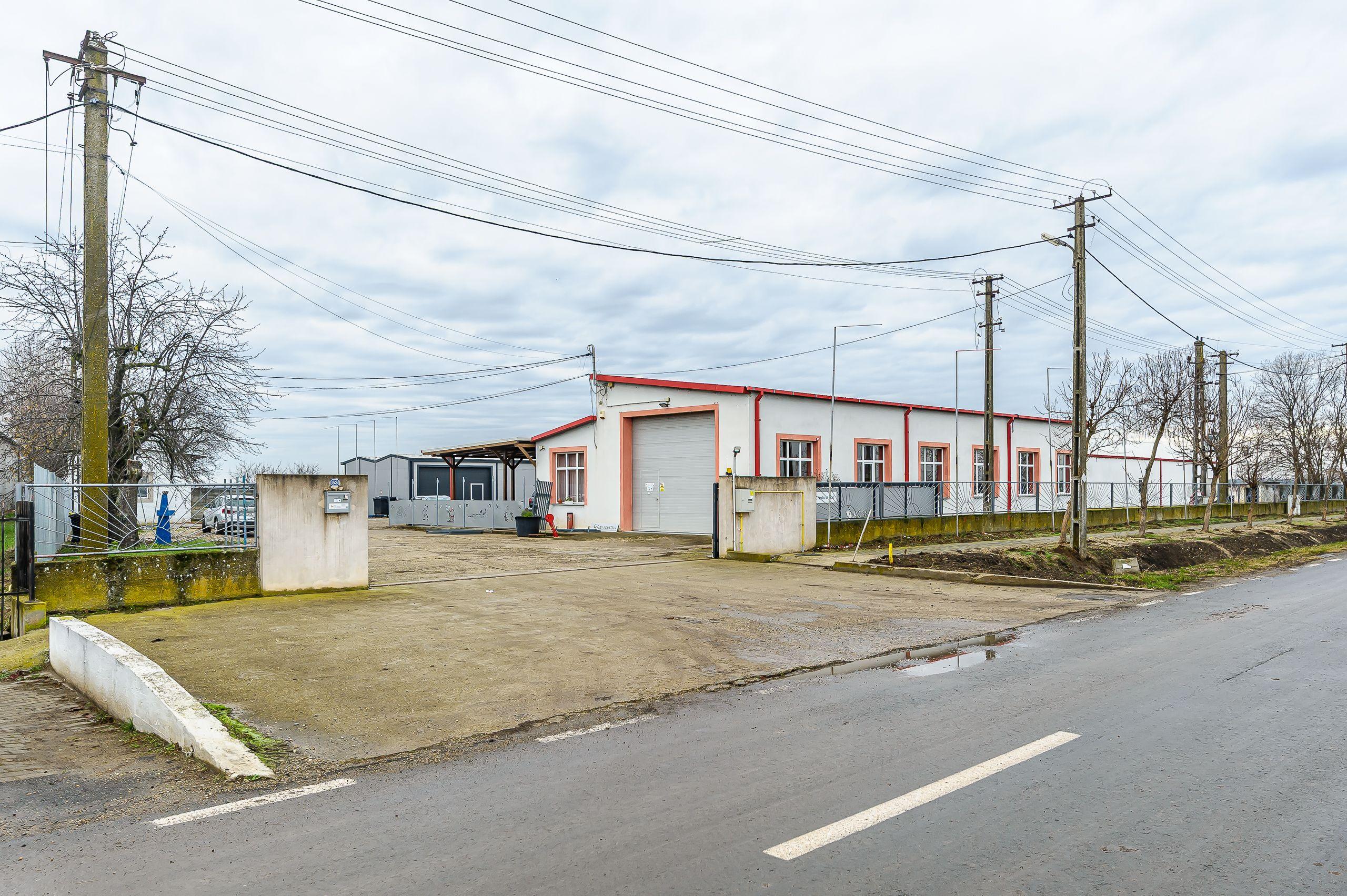 Hale depozitare/producție 2.000 mp si 10.000 mp teren în Pecica - 11