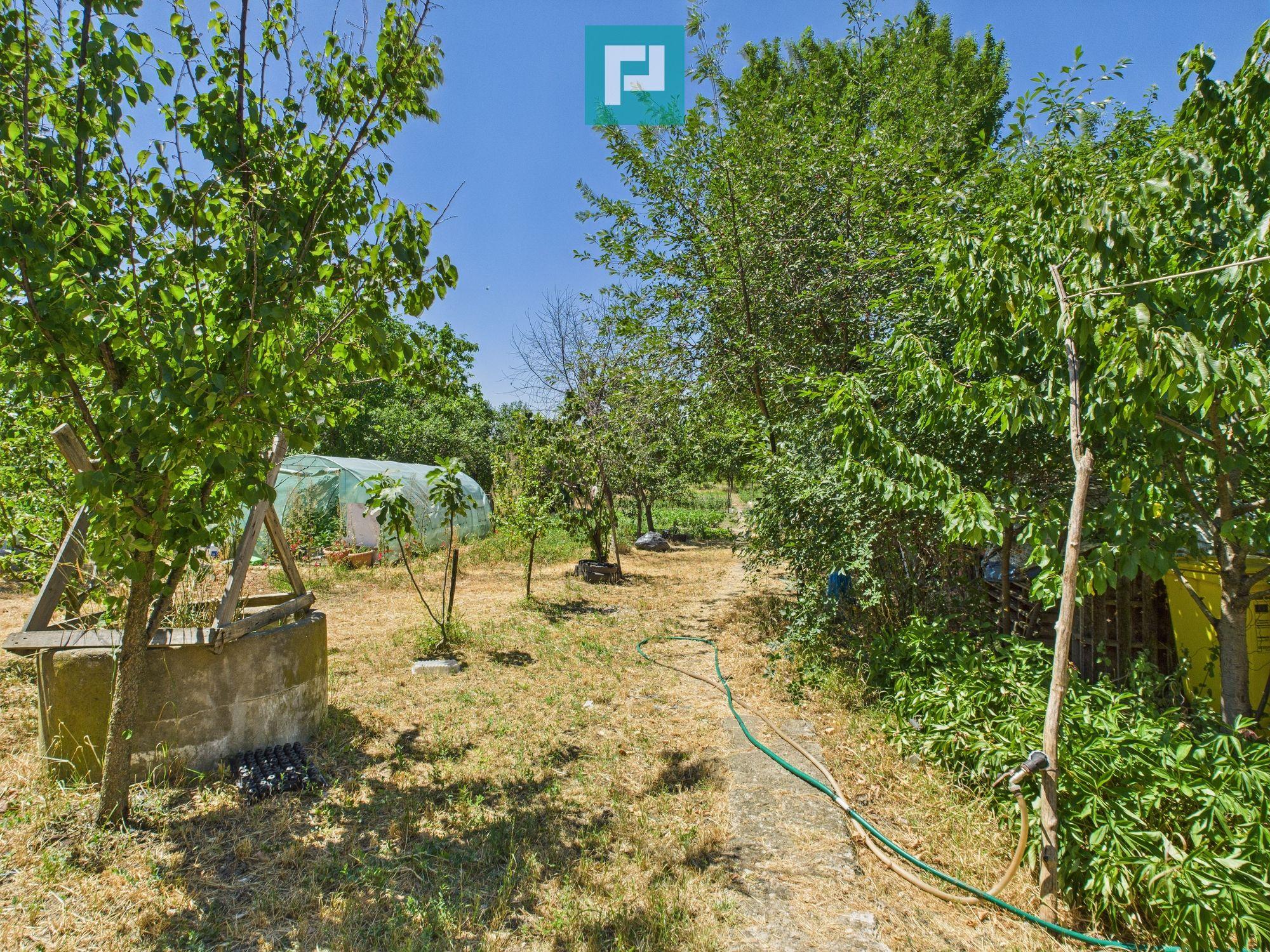 Casă cu 2 camere și teren de 1450 mp în Aradul Nou - 16