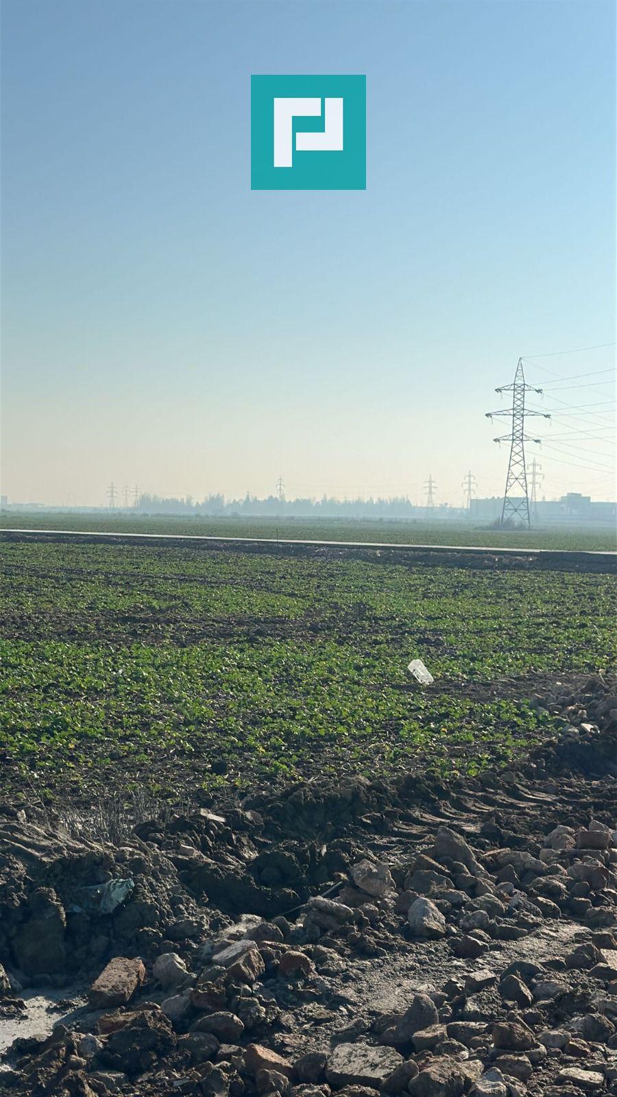 Teren de vânzare – Popești-Leordeni | 500 mp - 9