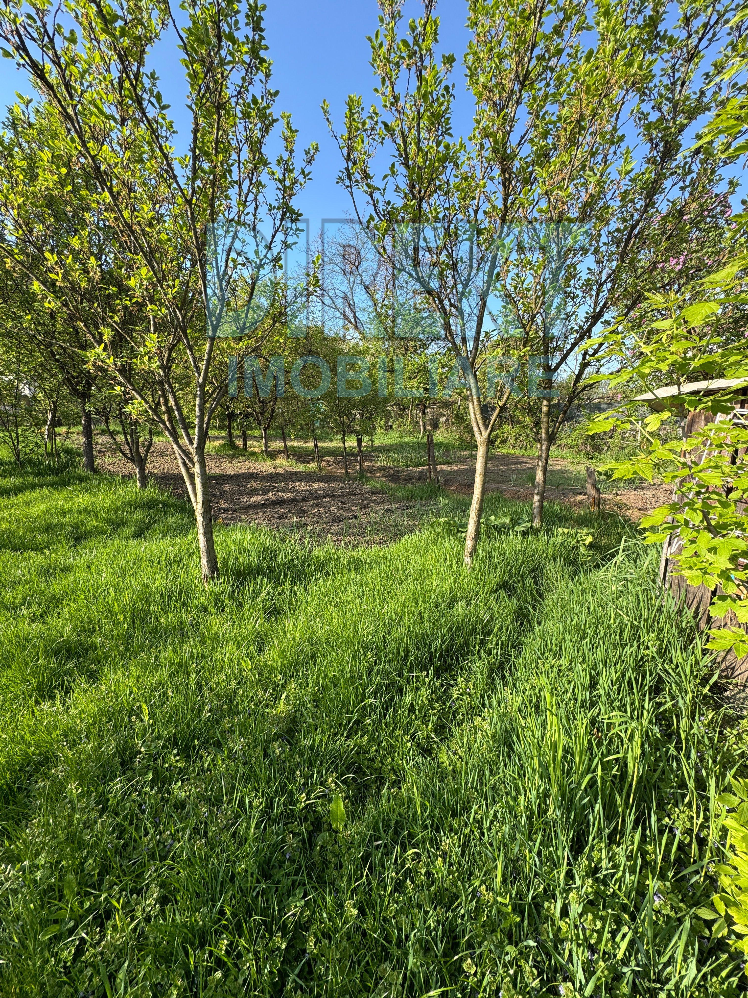 Casa 3 camere , 500 mp teren , zona C.R.Vivu - 12
