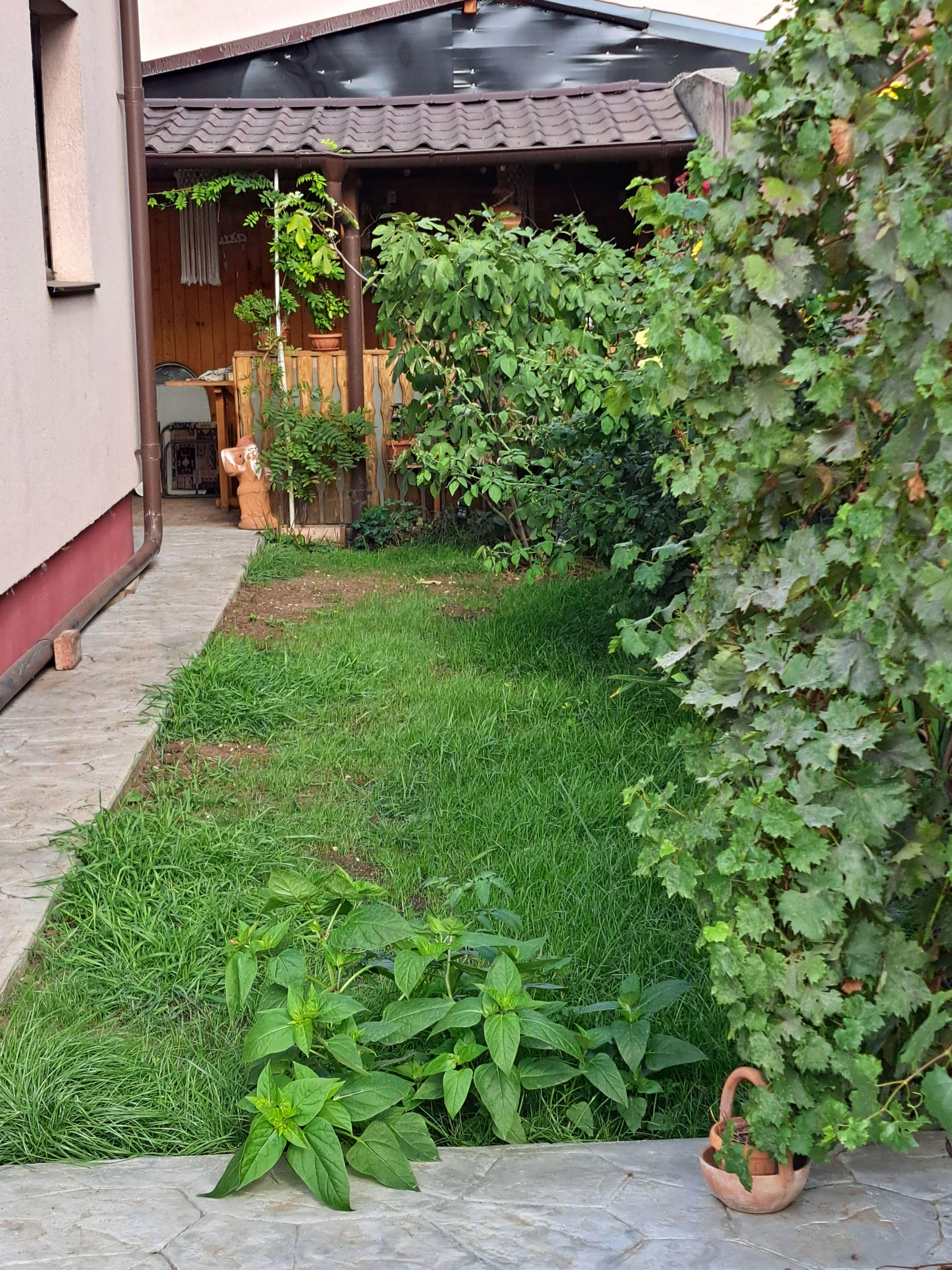 Vila singur curte - 12