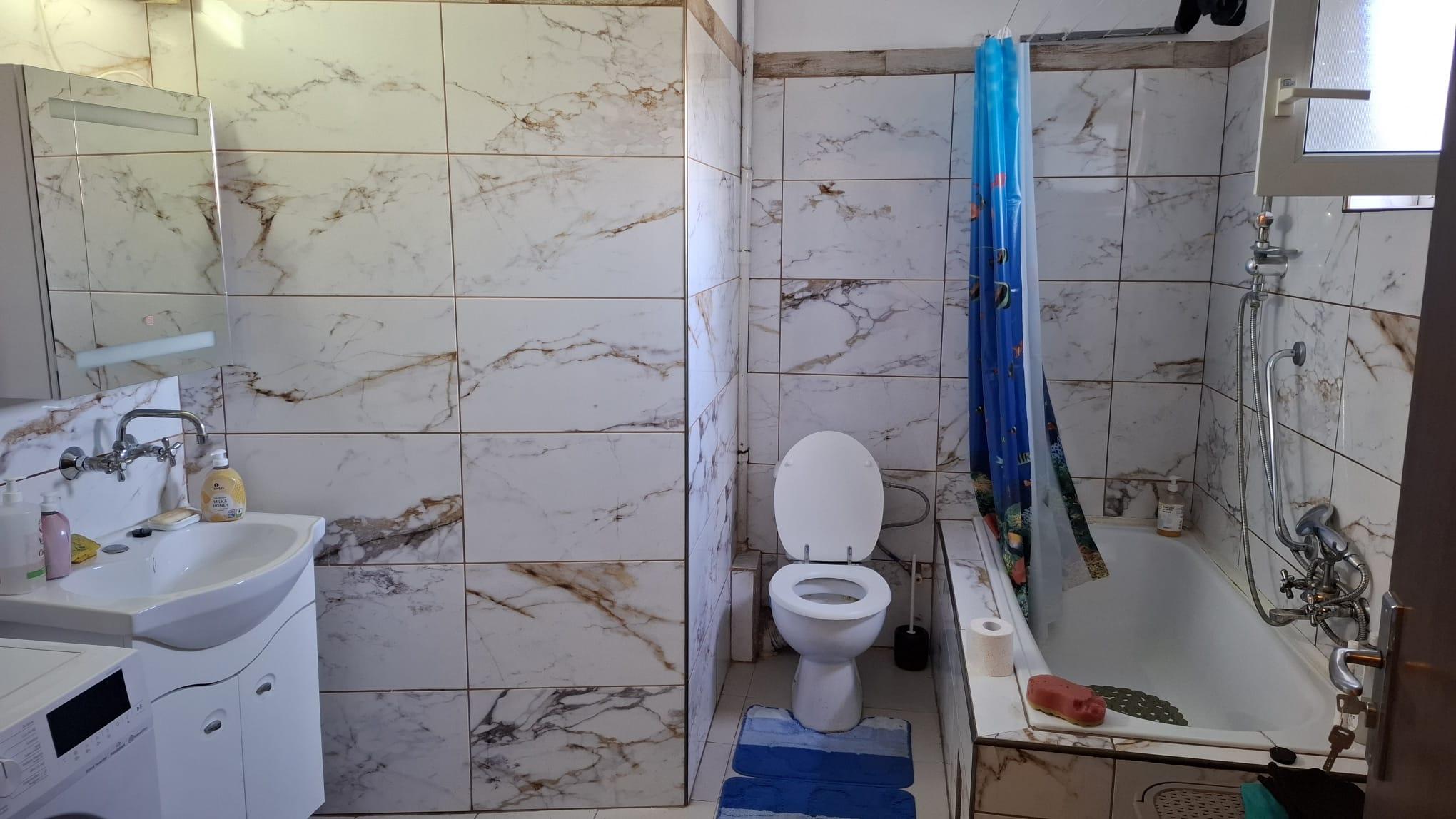 Casa p+1 + spatiu comercial + anexe Ploiesti - 2