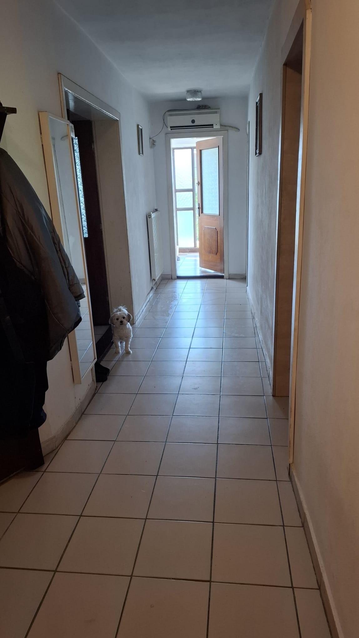 Casa p+1 + spatiu comercial + anexe Ploiesti - 8