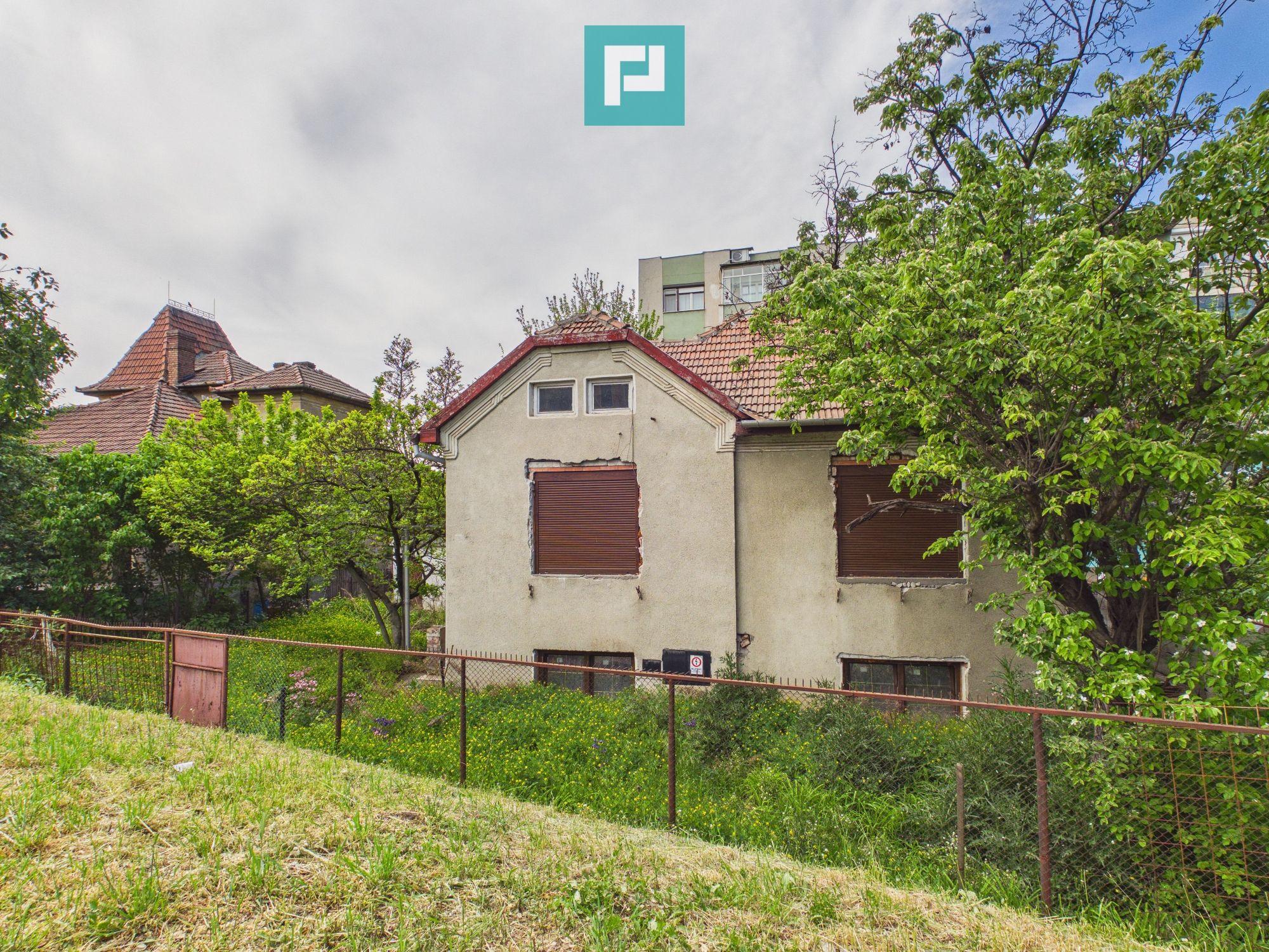 Vilă cu potențial pe Calea Romanilor - 2