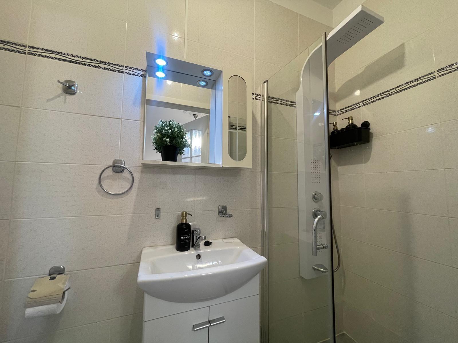 Garsonieră Ultra-Lux | Piața Unirii | 25 mp | Parter - 7