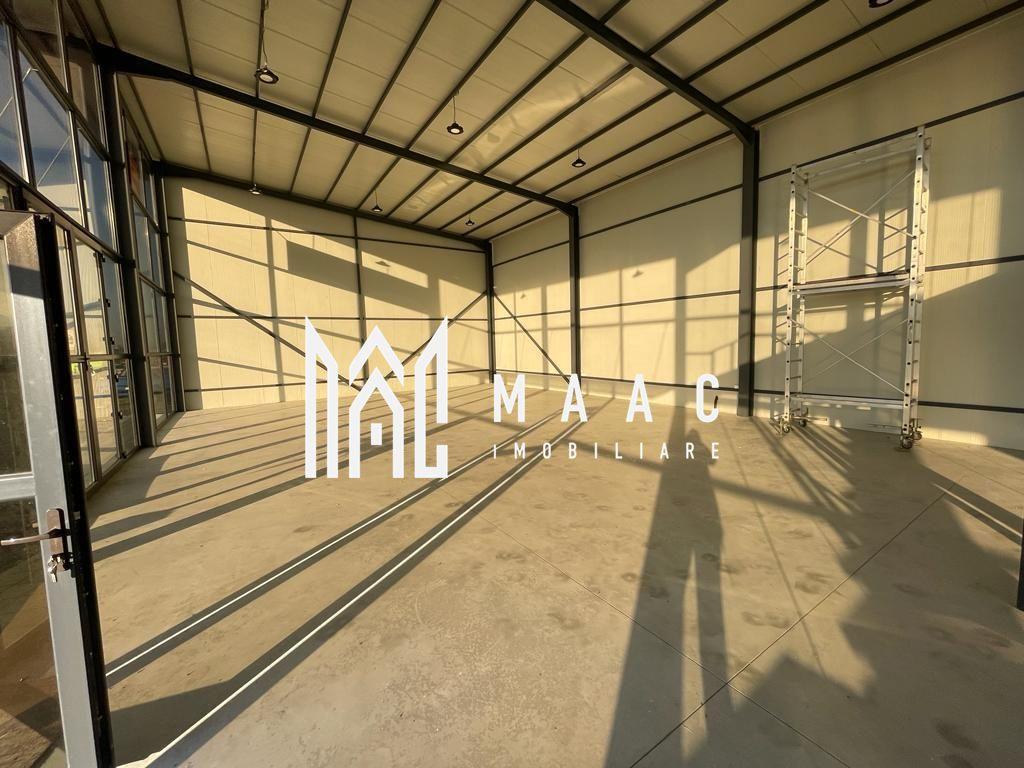 Hala | 250 MP | Teren 3900 MP | - 8