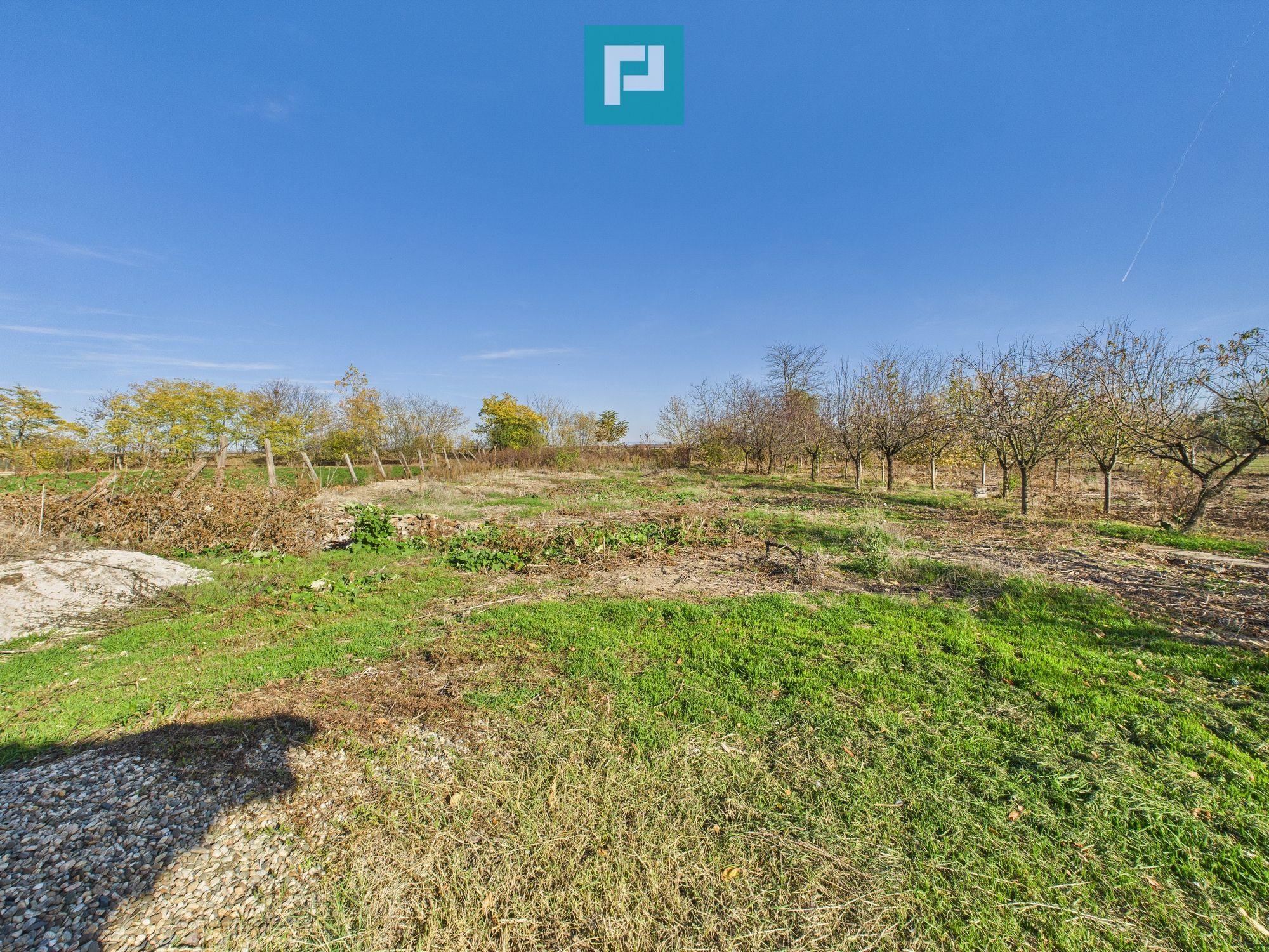 Proprietate impresionantă în Nădab - 30