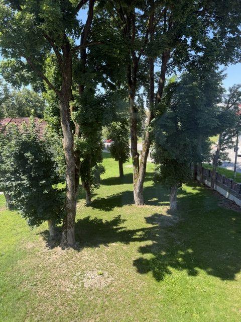 Apartament spatios zona Stefan cel Mare - 9