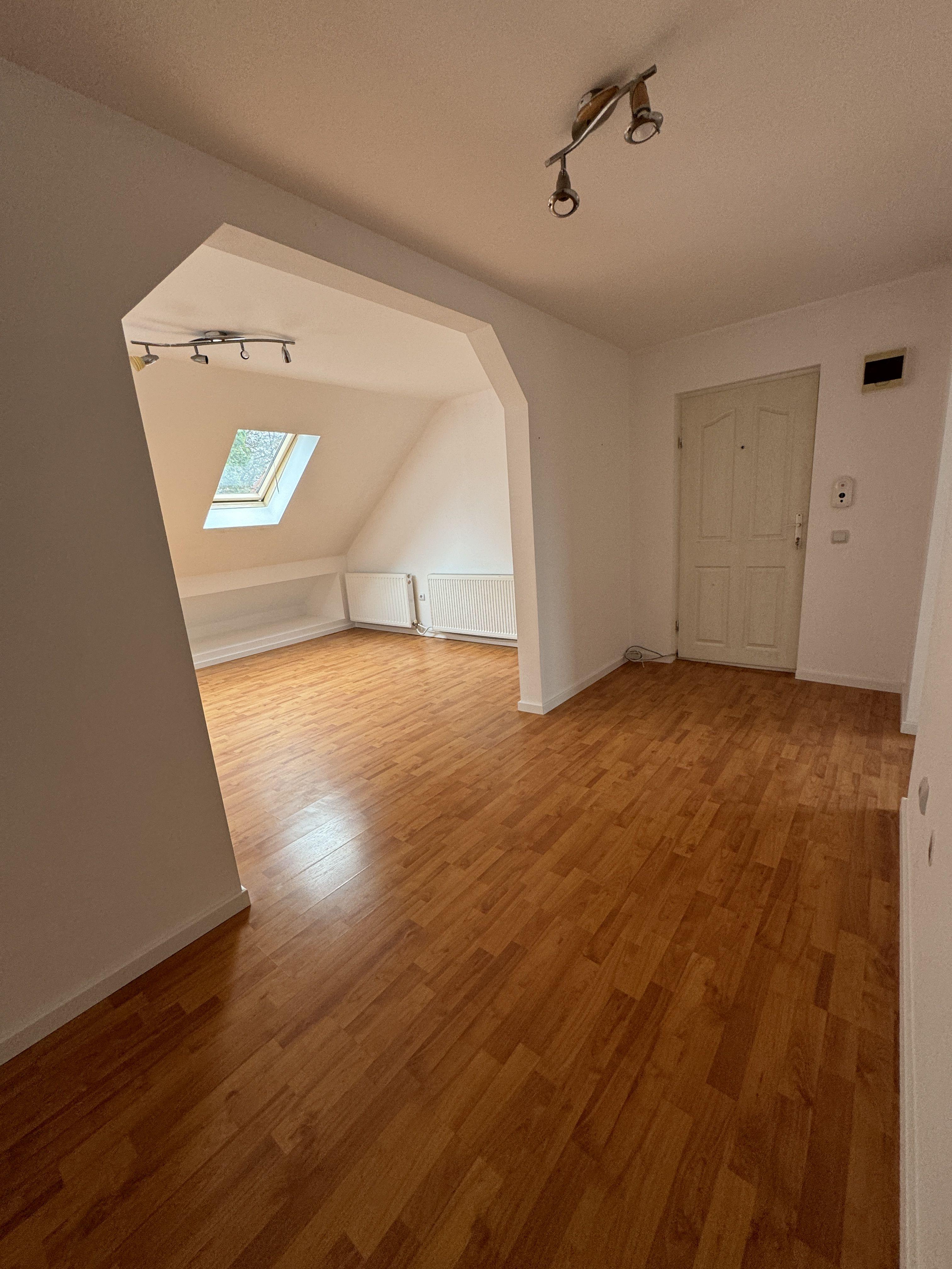 Apartament spatios zona Stefan cel Mare - 5