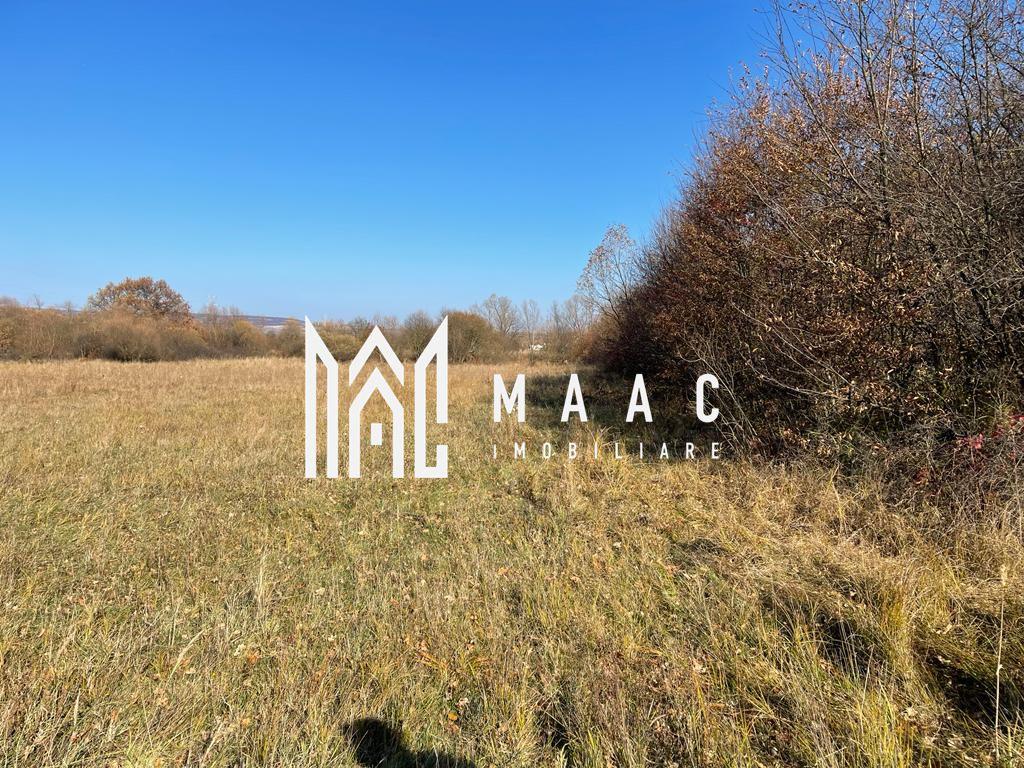 Teren industrial | servicii Selimbar DN | 2934mp - 2