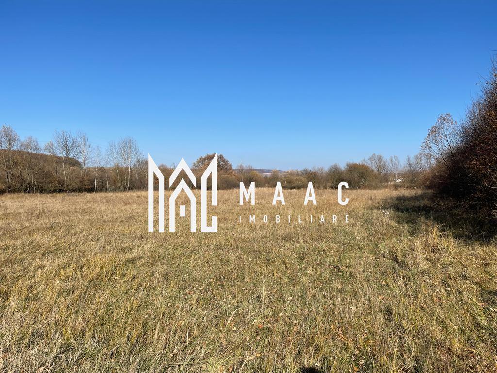 Teren industrial | servicii Selimbar DN | 2934mp - 3