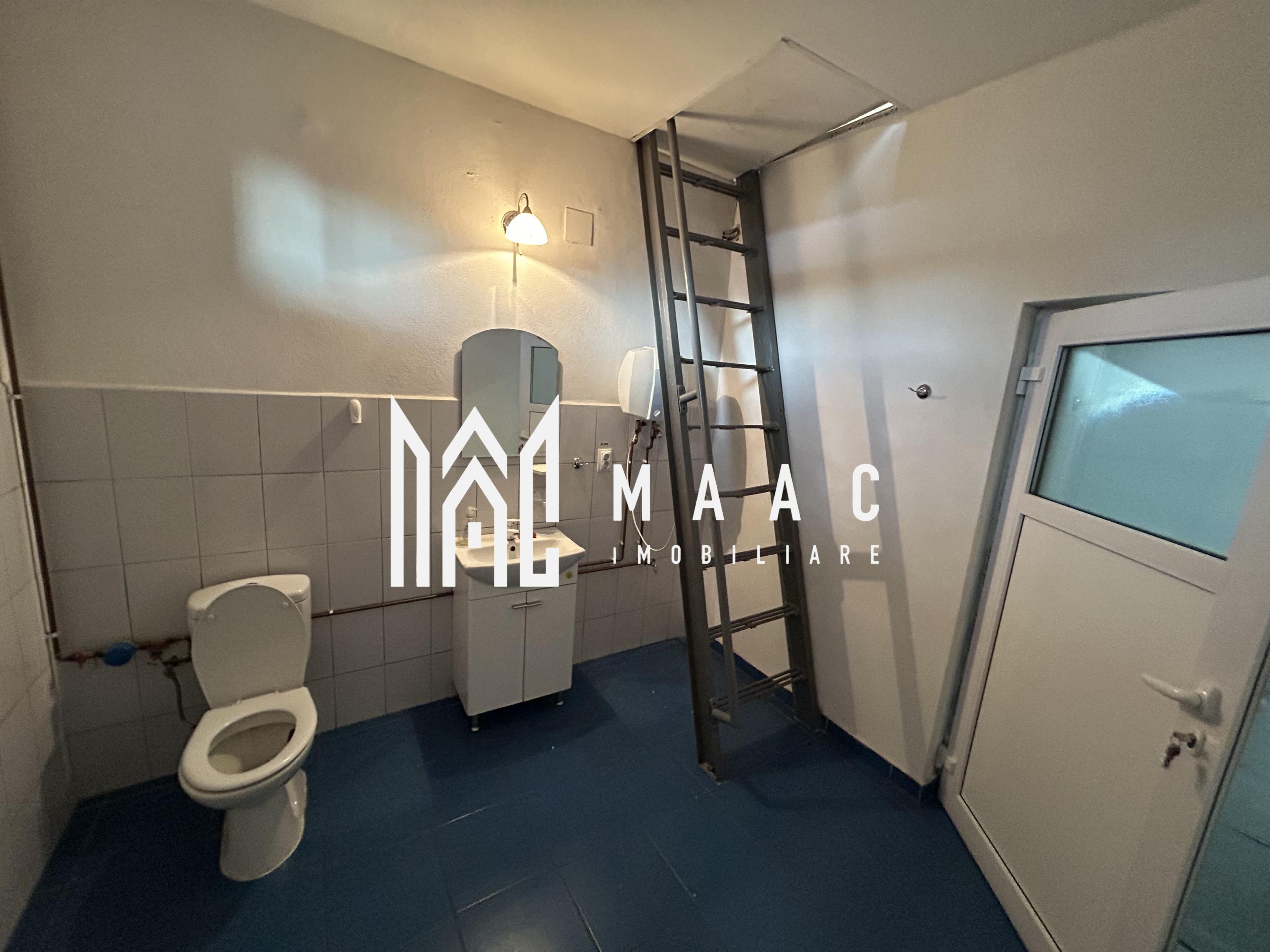 Hala Industrială I 570 mp I Acces Tir I Stefan Cel Mare - 10