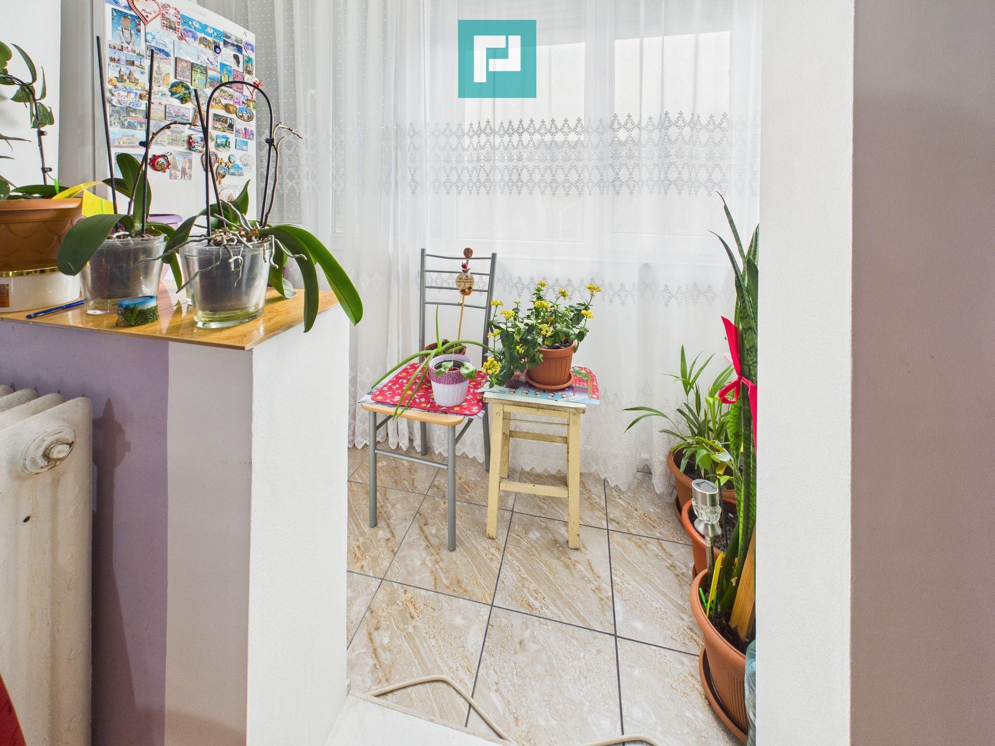 Garsonieră frumoasă în Micalaca - 4