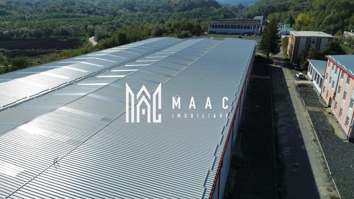Hala producție I 6857 mp I Acces TIR I Pod Rulant I Mârșa - 10